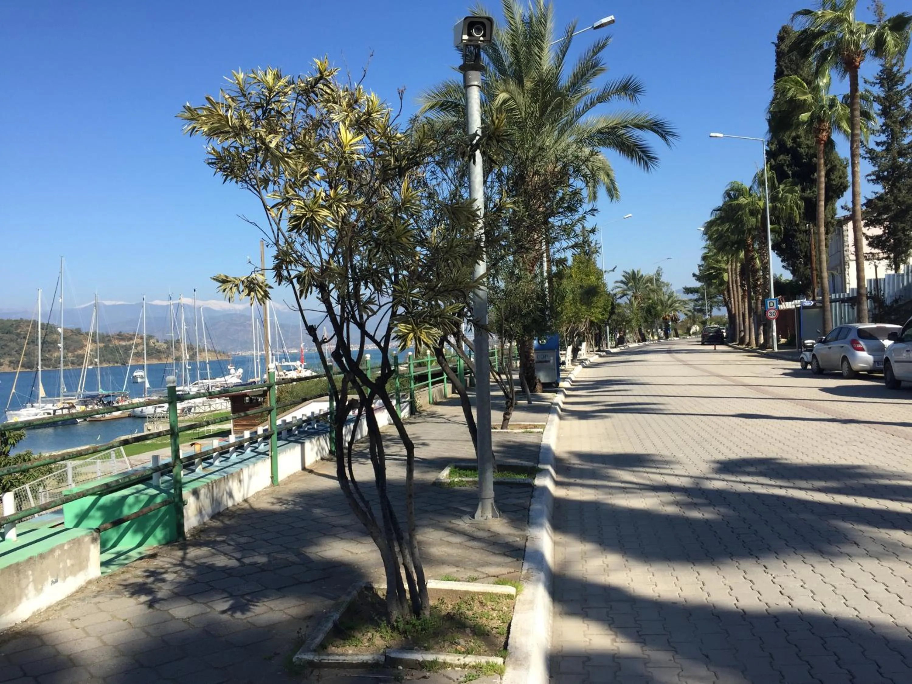 Hotel Villa Daffodil