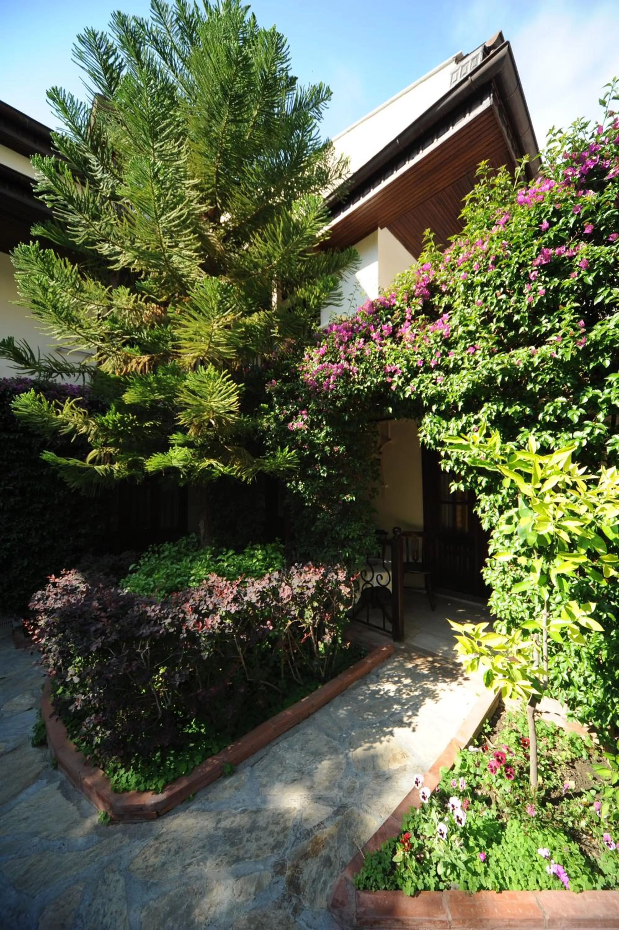 Facade/entrance in Hotel Villa Daffodil