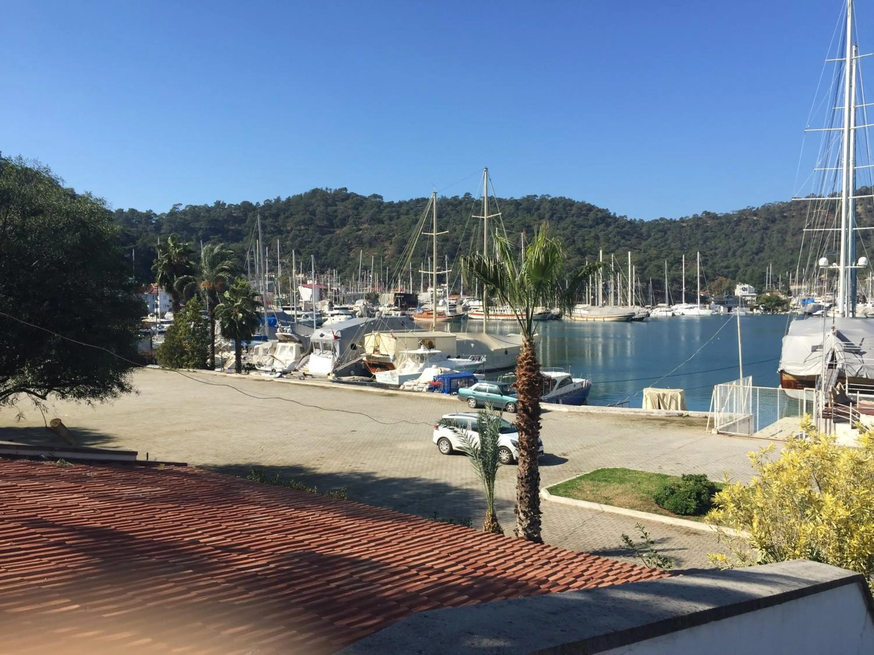 Hotel Villa Daffodil