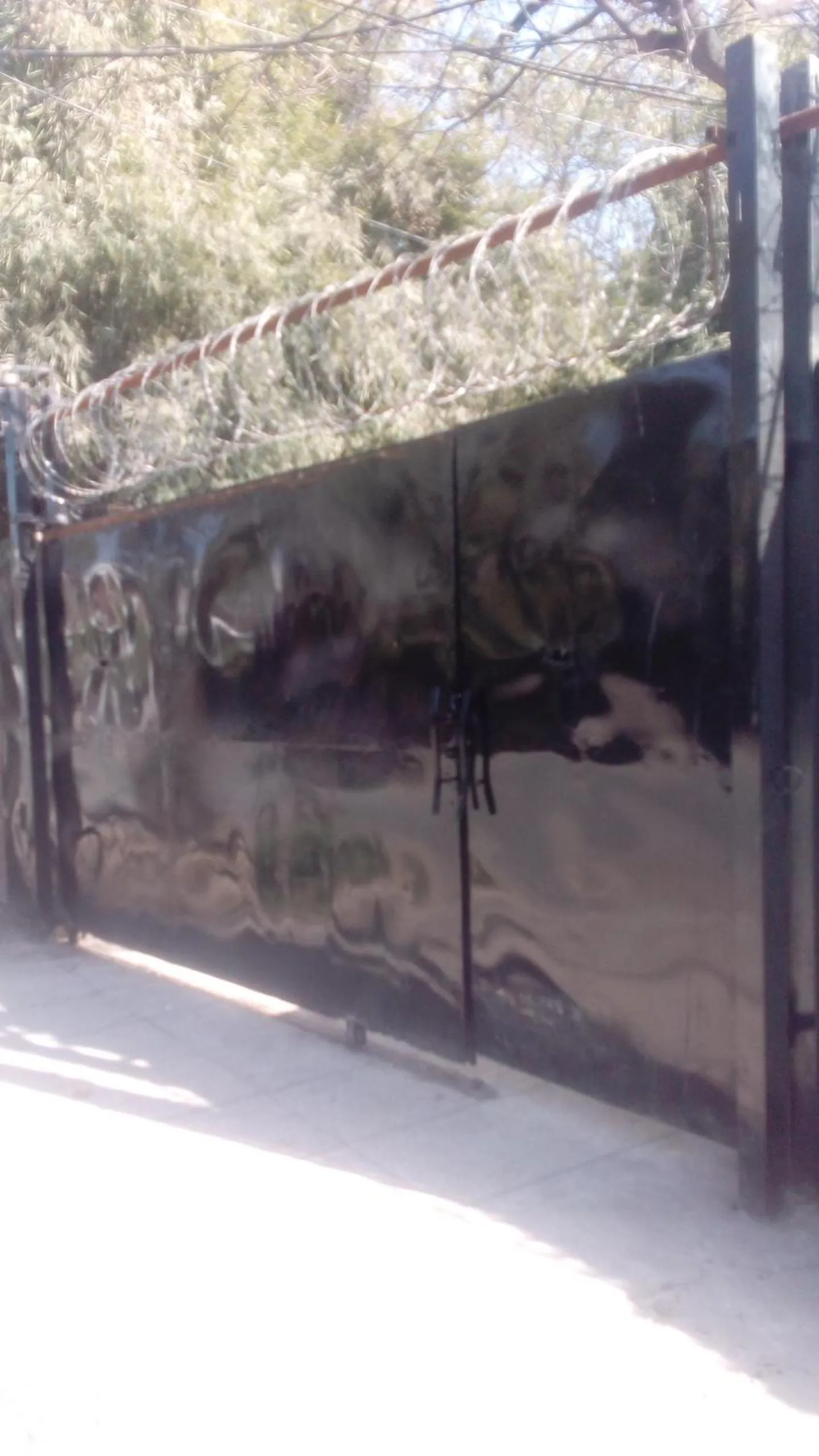 City View Hotel & Restaurant