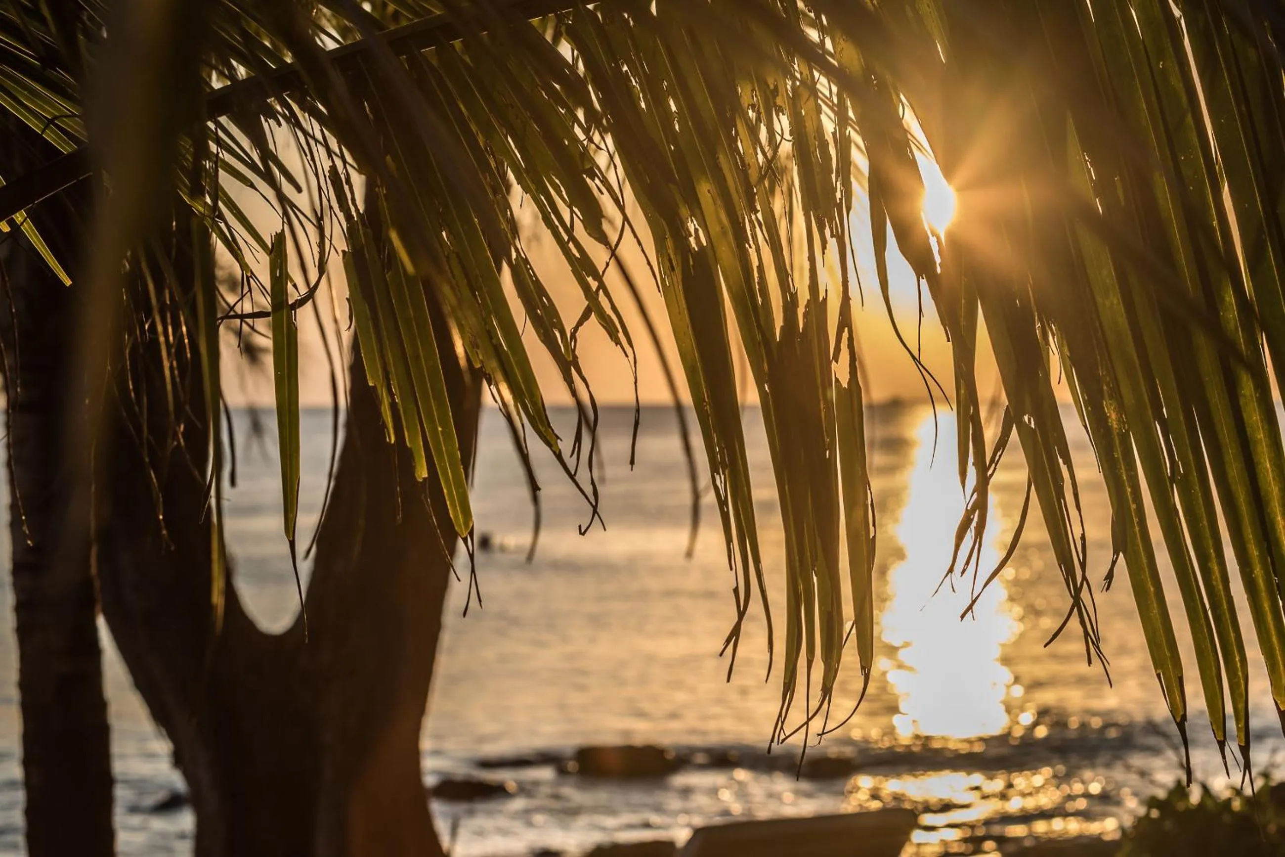 Beach in Isabella Resort