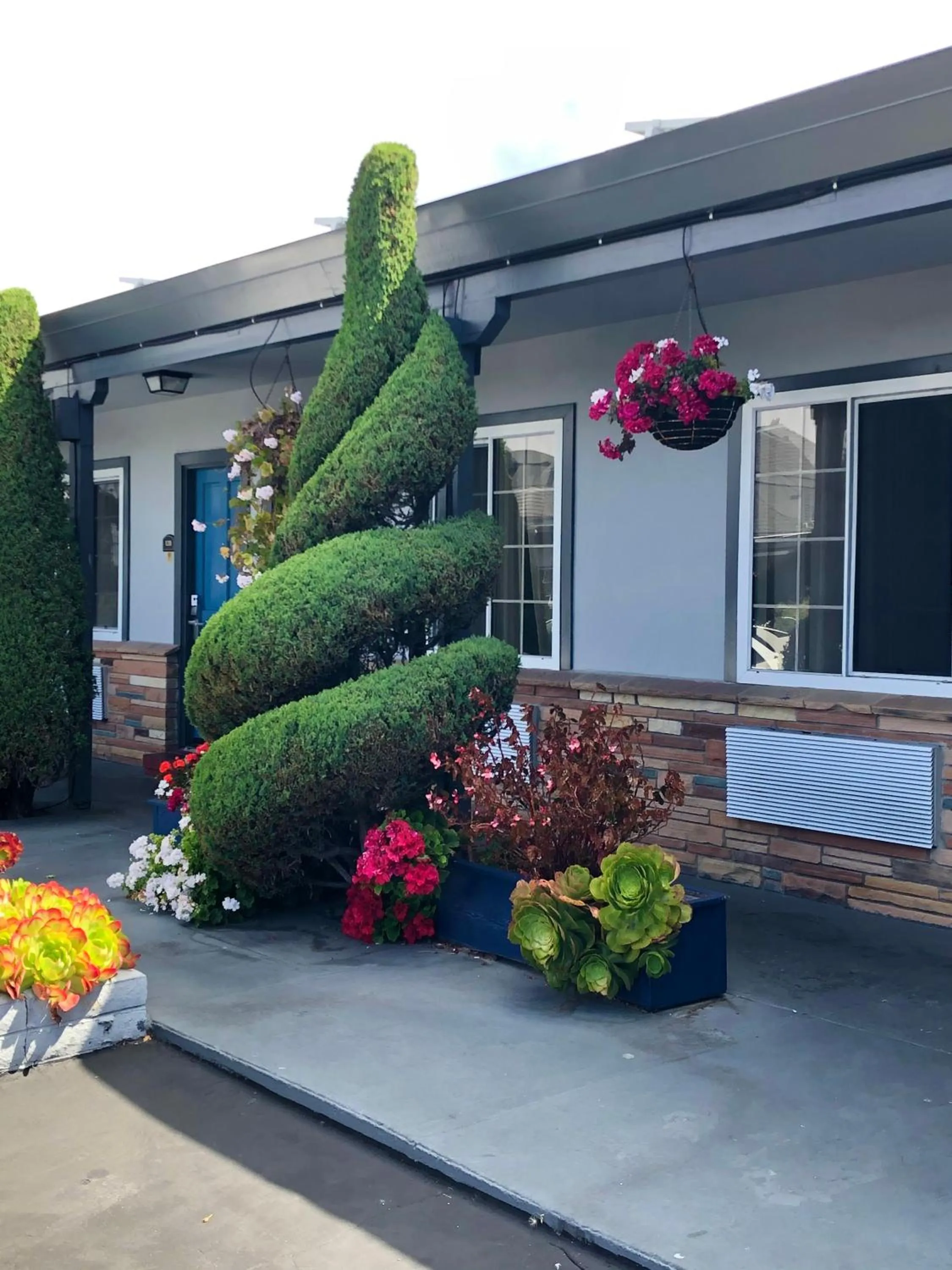 Garden in Blu Pacific Hotel