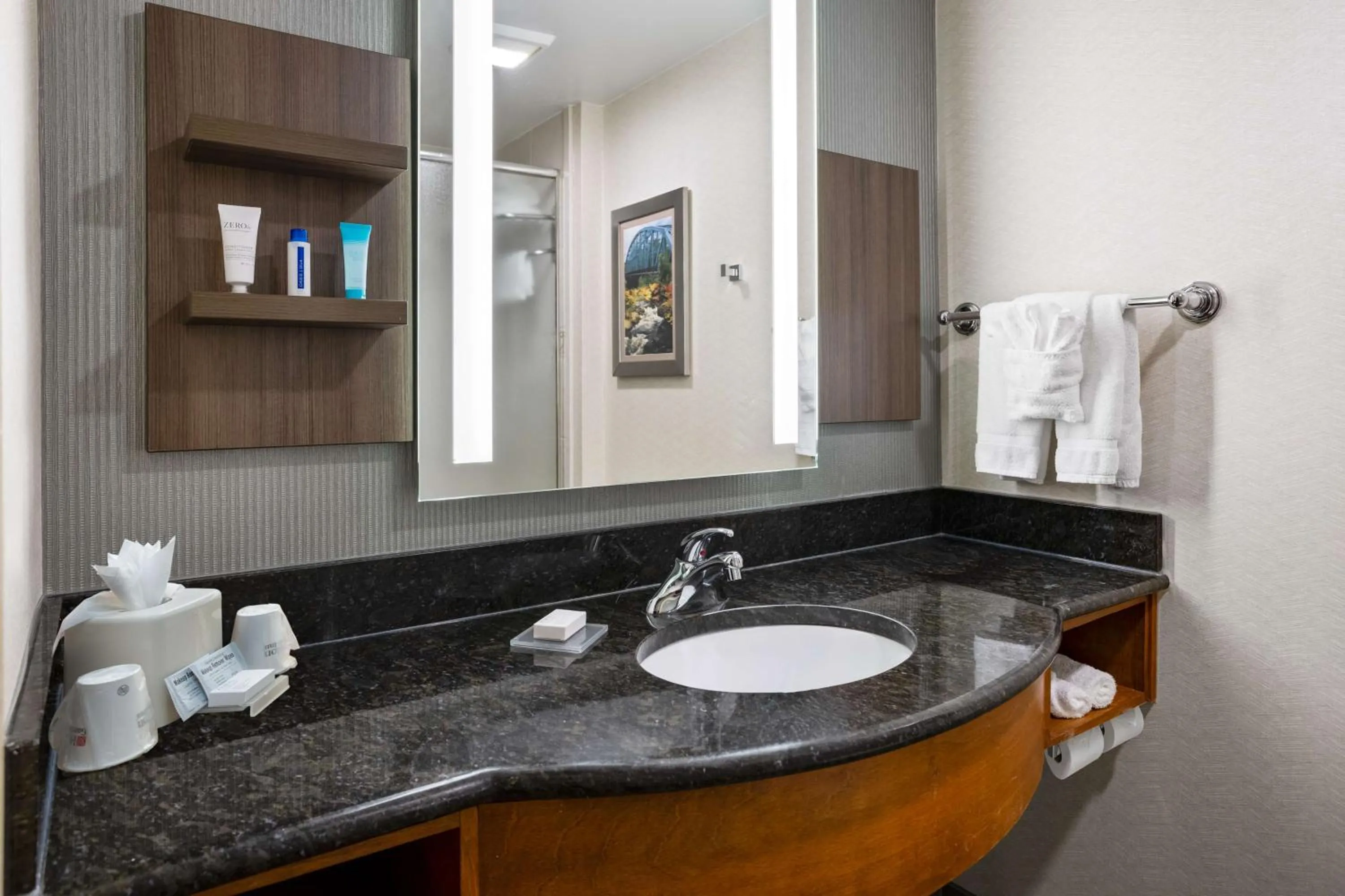 Bathroom in Hilton Garden Inn Milford