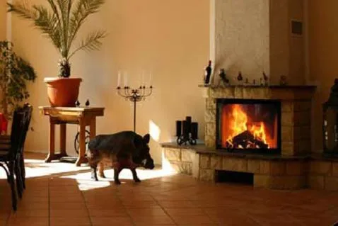 Hotel & Restaurant Wilder Eber