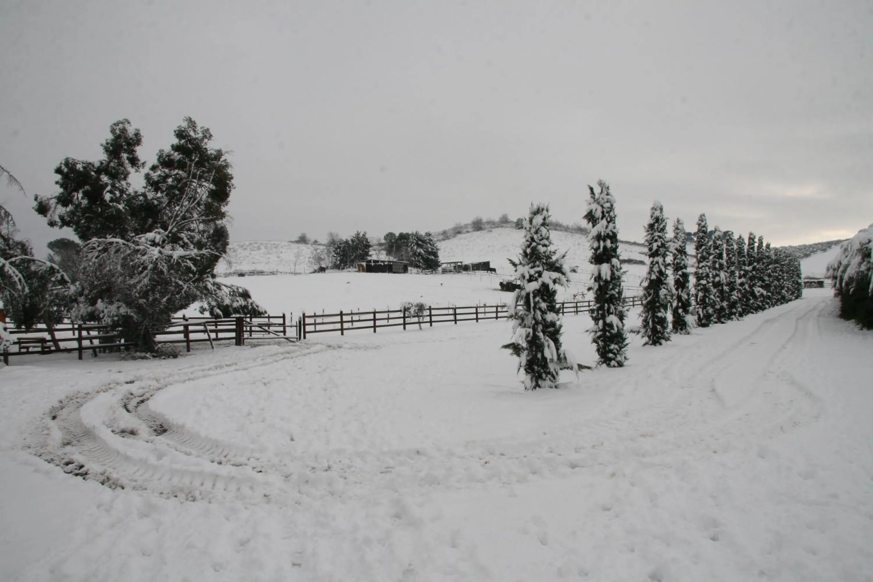 Winter in Tenuta Agricola Fonte Di Papa