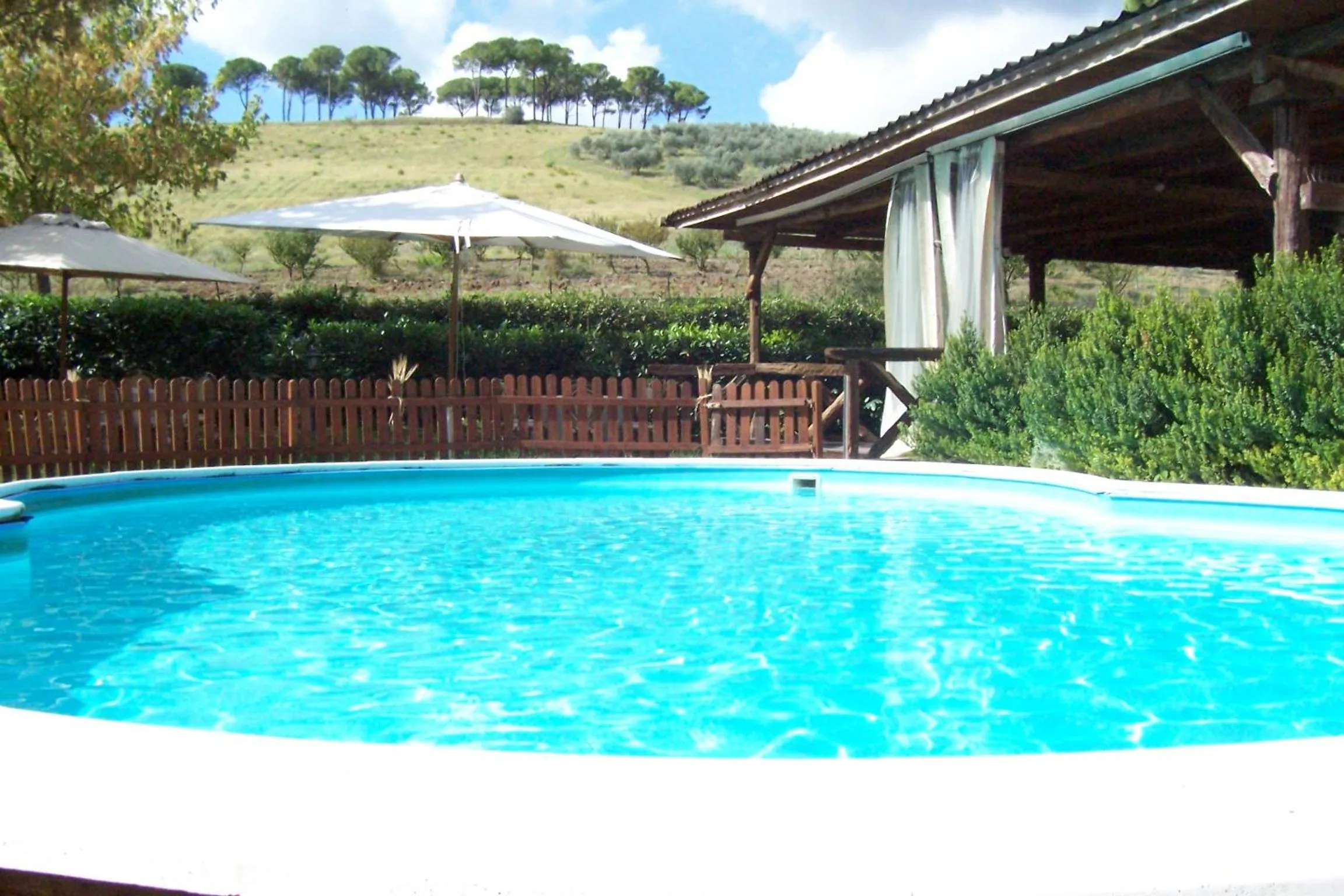 Pool view in Tenuta Agricola Fonte Di Papa