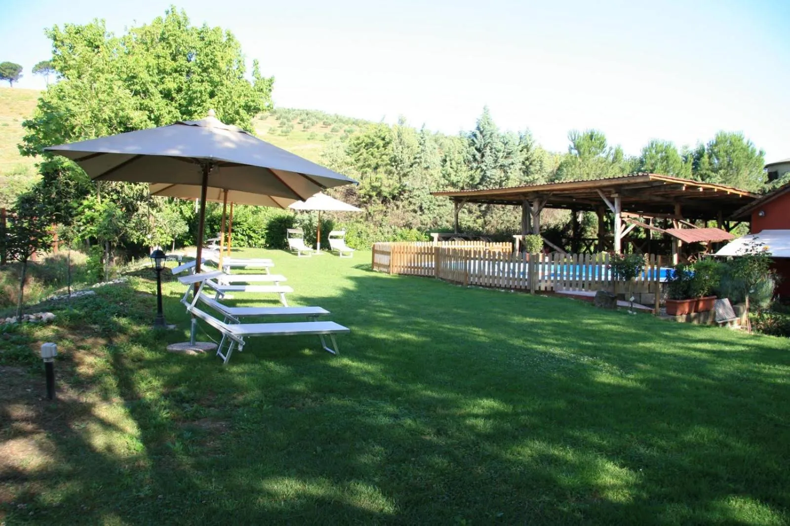 View (from property/room) in Tenuta Agricola Fonte Di Papa