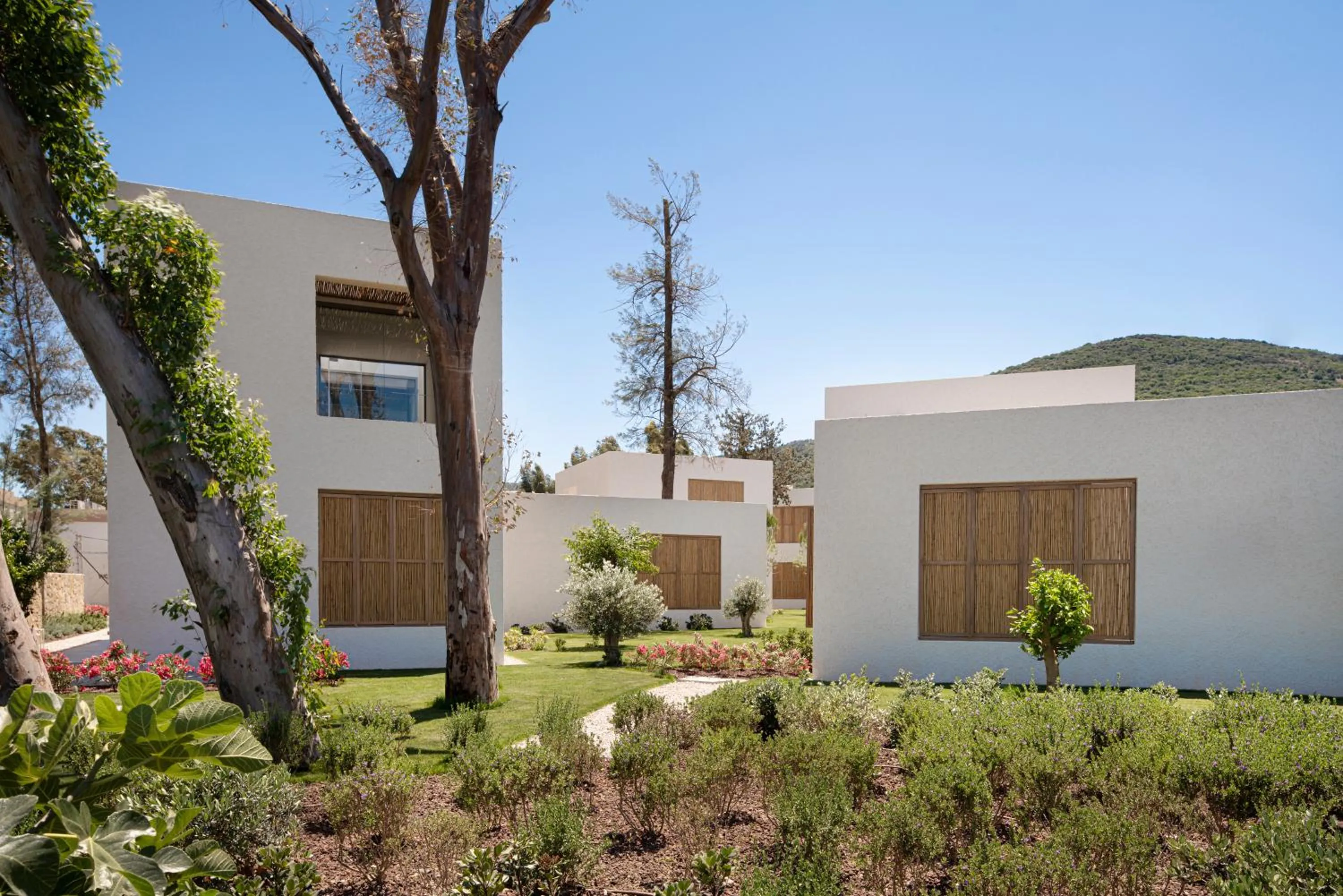 Garden in Voyage Torba Hotel