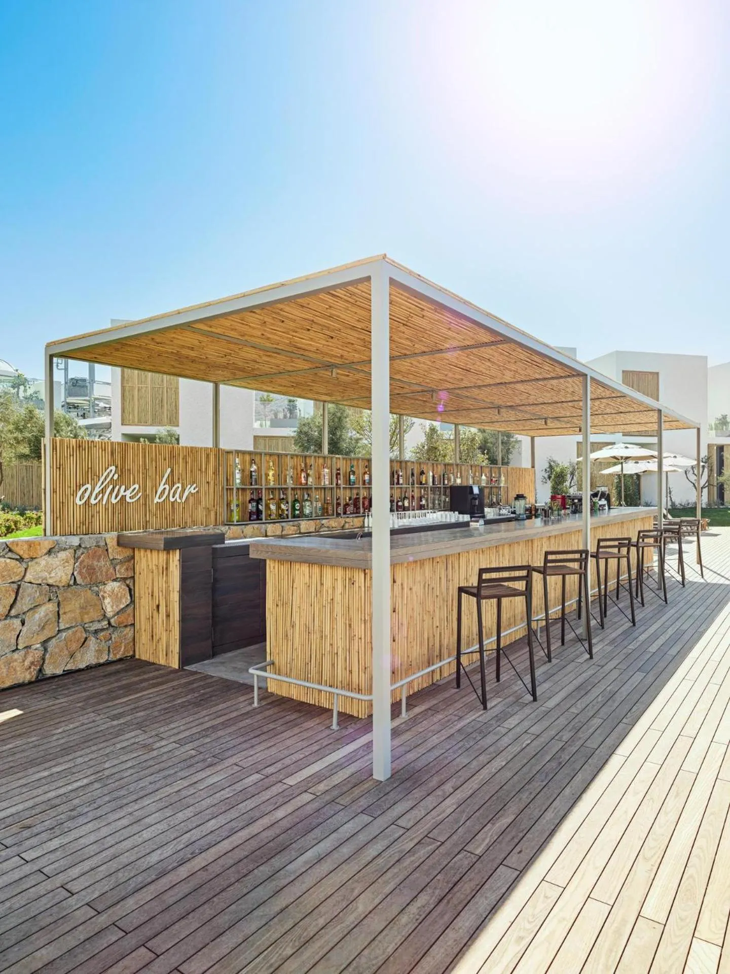 Lounge or bar in Voyage Torba Hotel