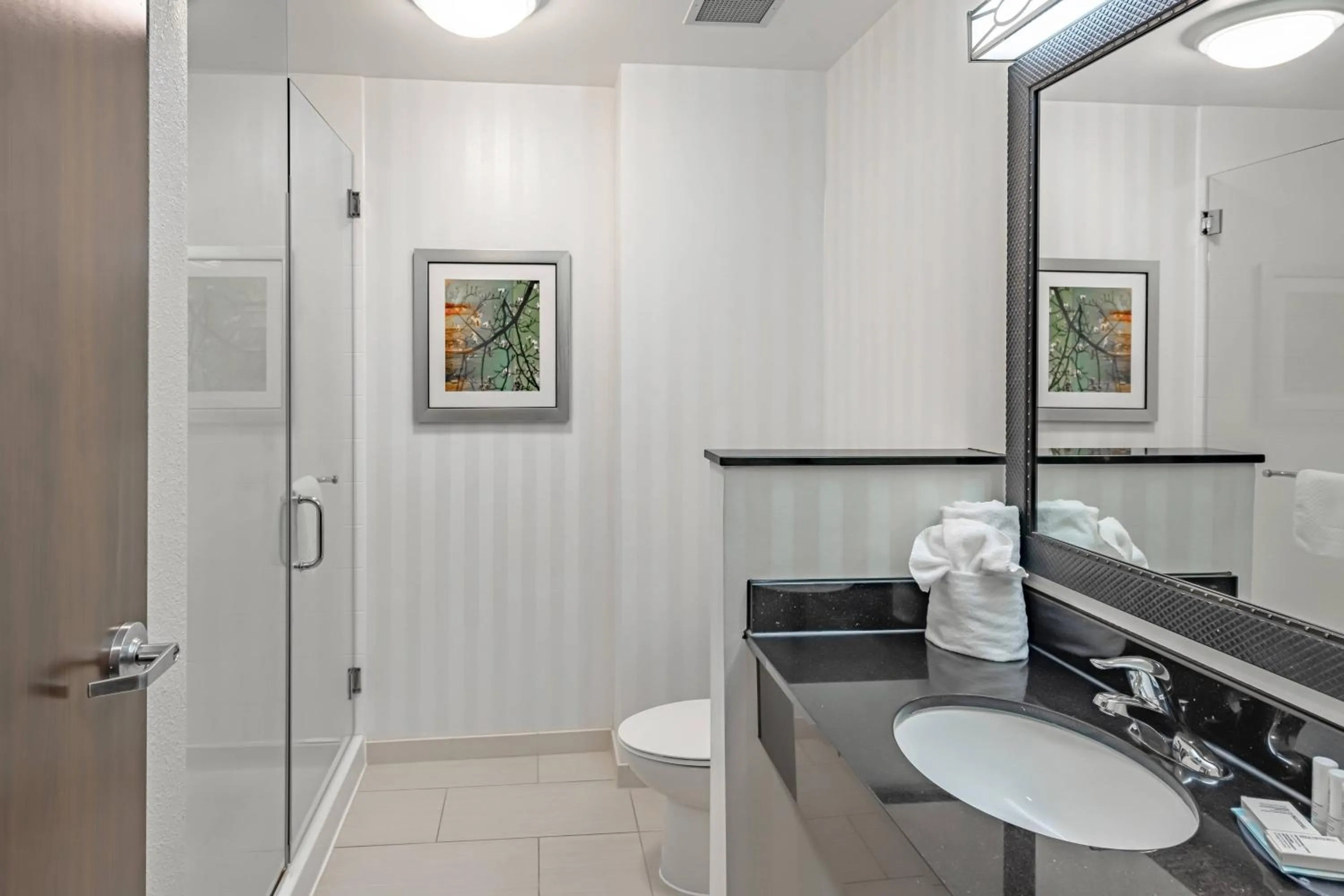 Bathroom in Fairfield Inn & Suites by Marriott New Braunfels