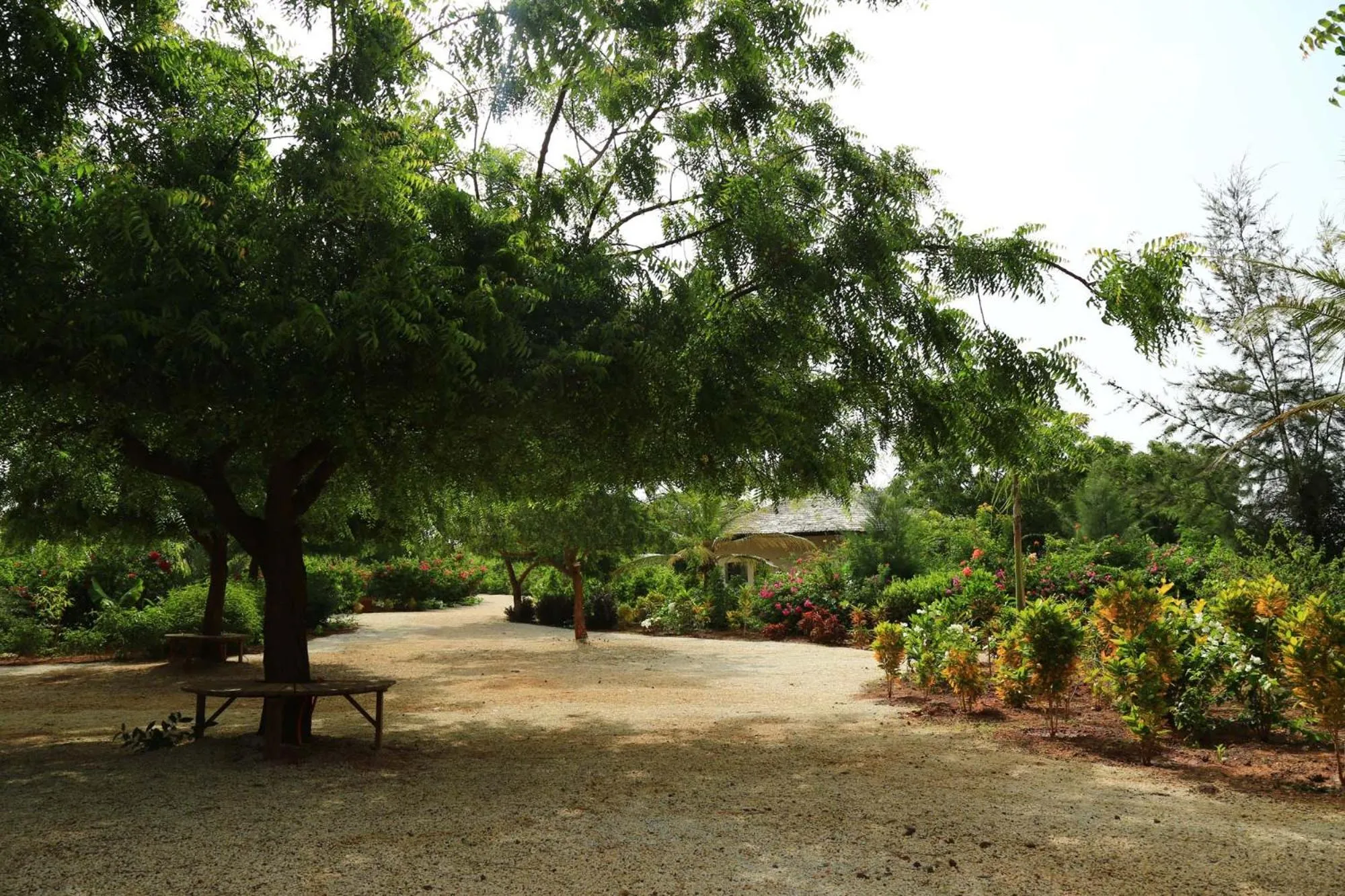 Property building in Les Manguiers de Guereo