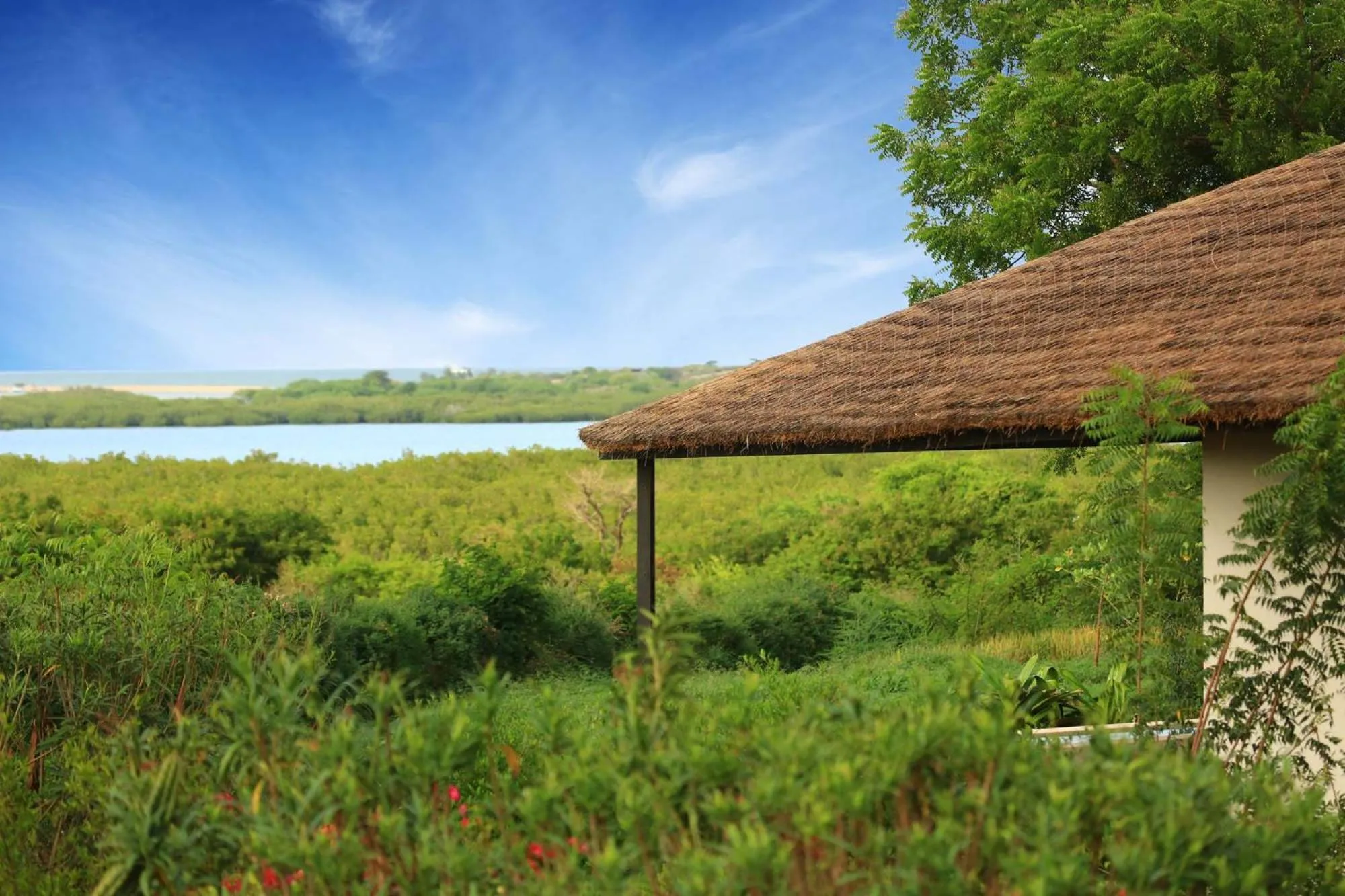 Property building in Les Manguiers de Guereo