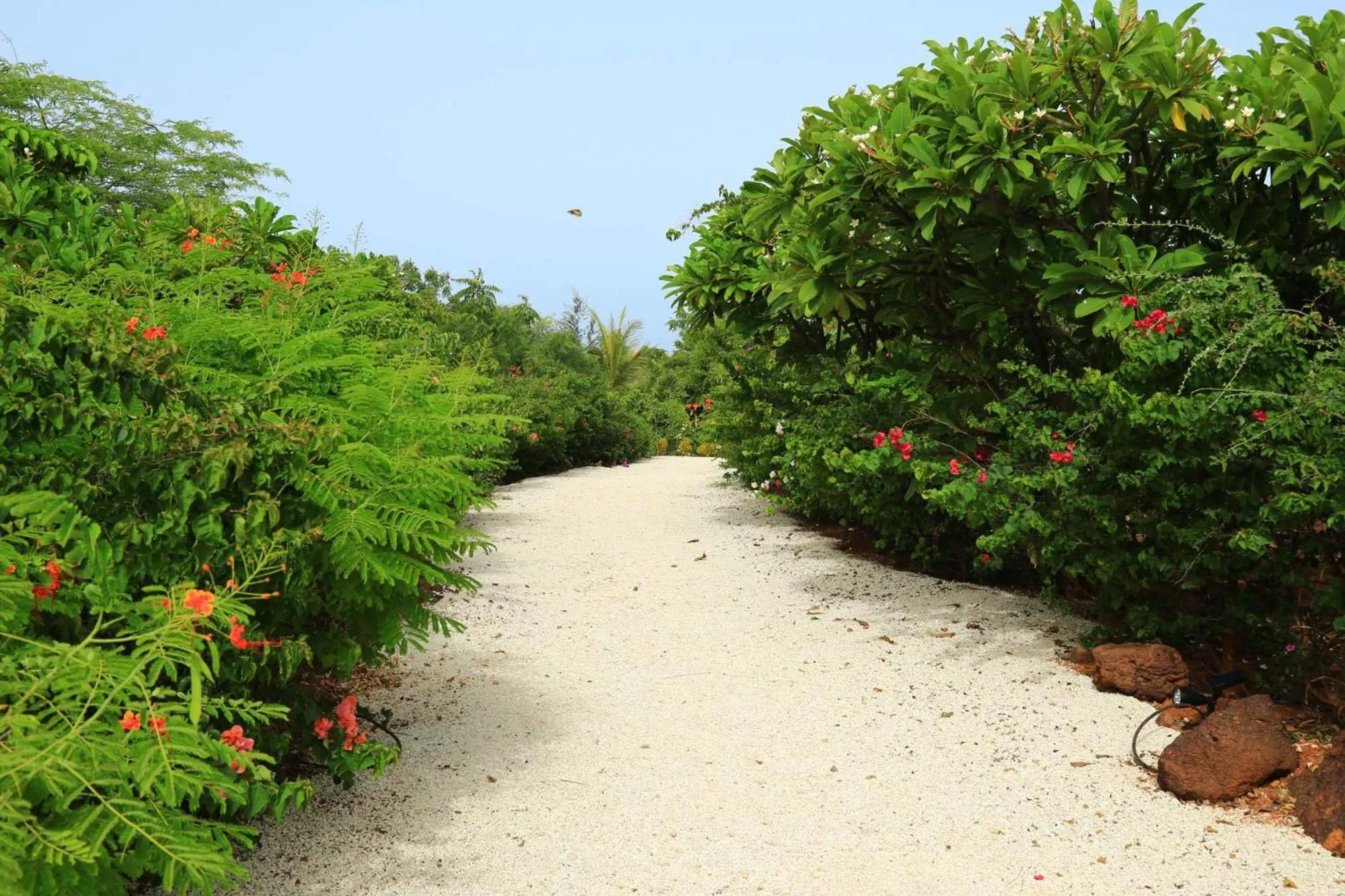 Property building in Les Manguiers de Guereo