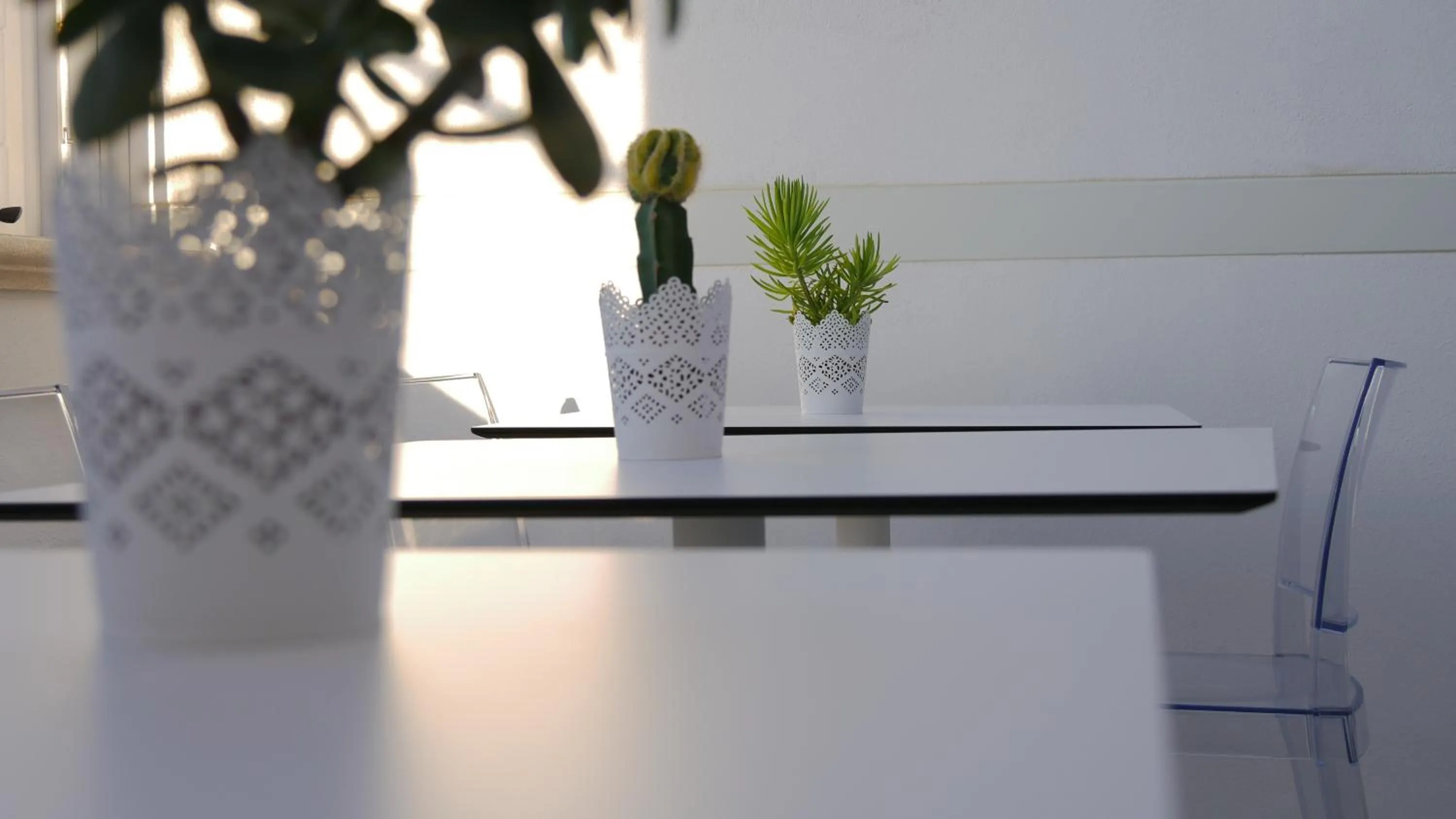 Lounge or bar in Domus Nova