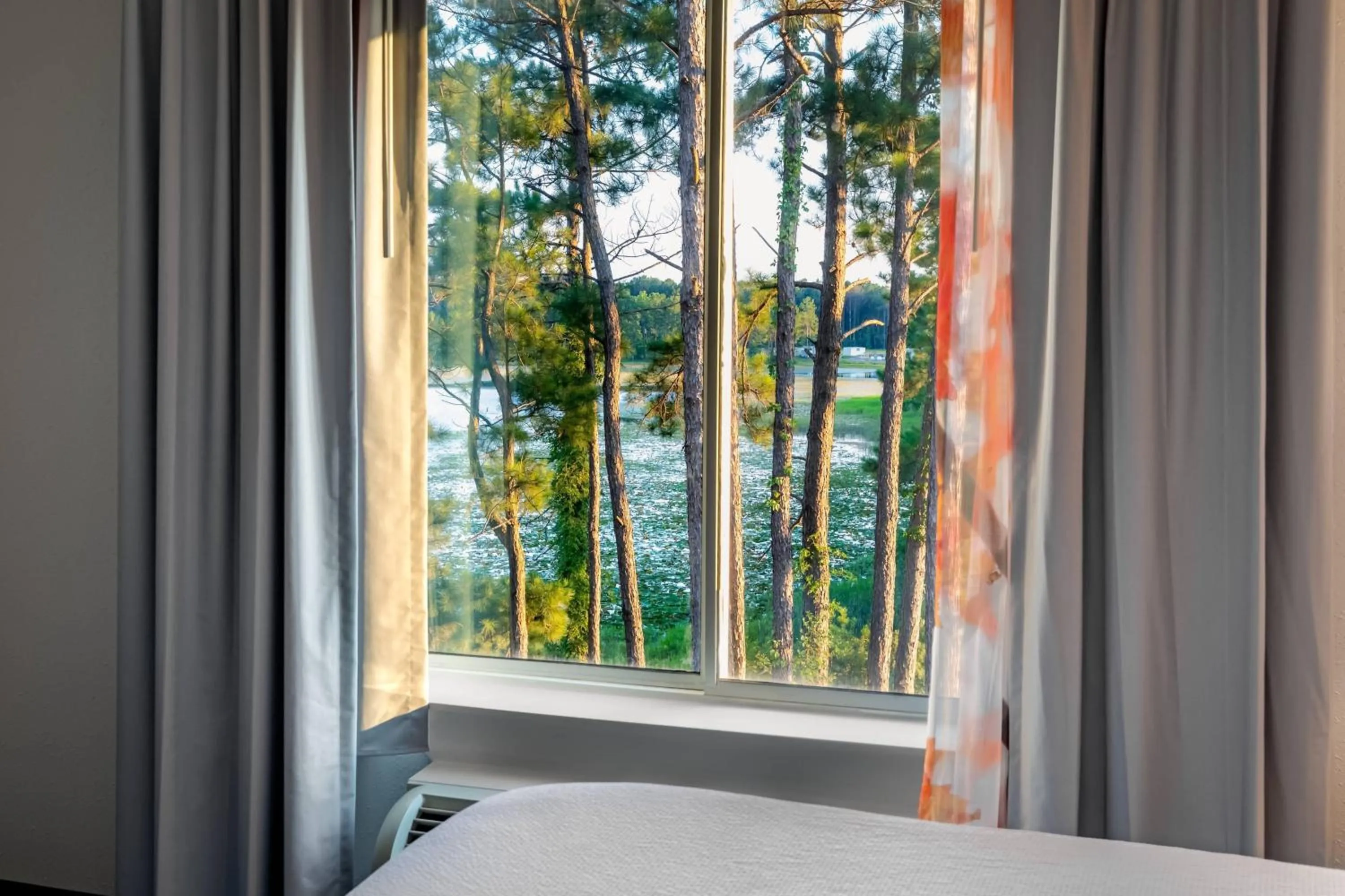 Photo of the whole room, Bed in Fairfield Inn & Suites Savannah Airport