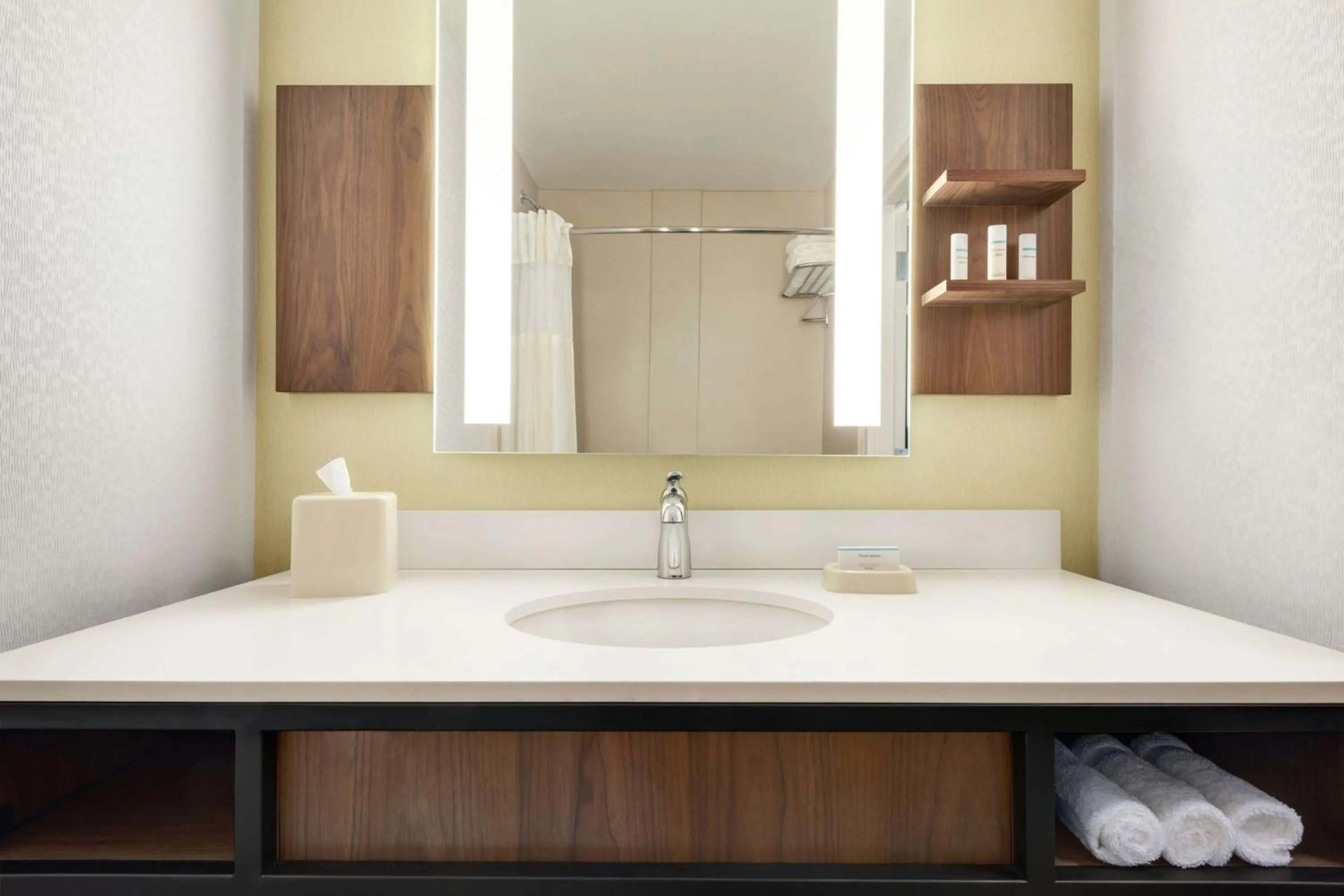 Bathroom in Hilton Garden Inn Dubuque Downtown