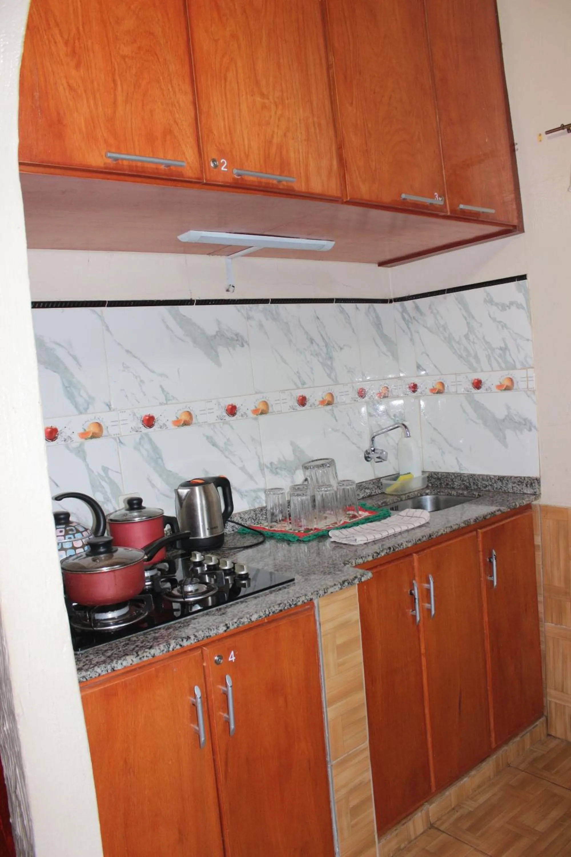 Posada Basiliza, Encarnación PY