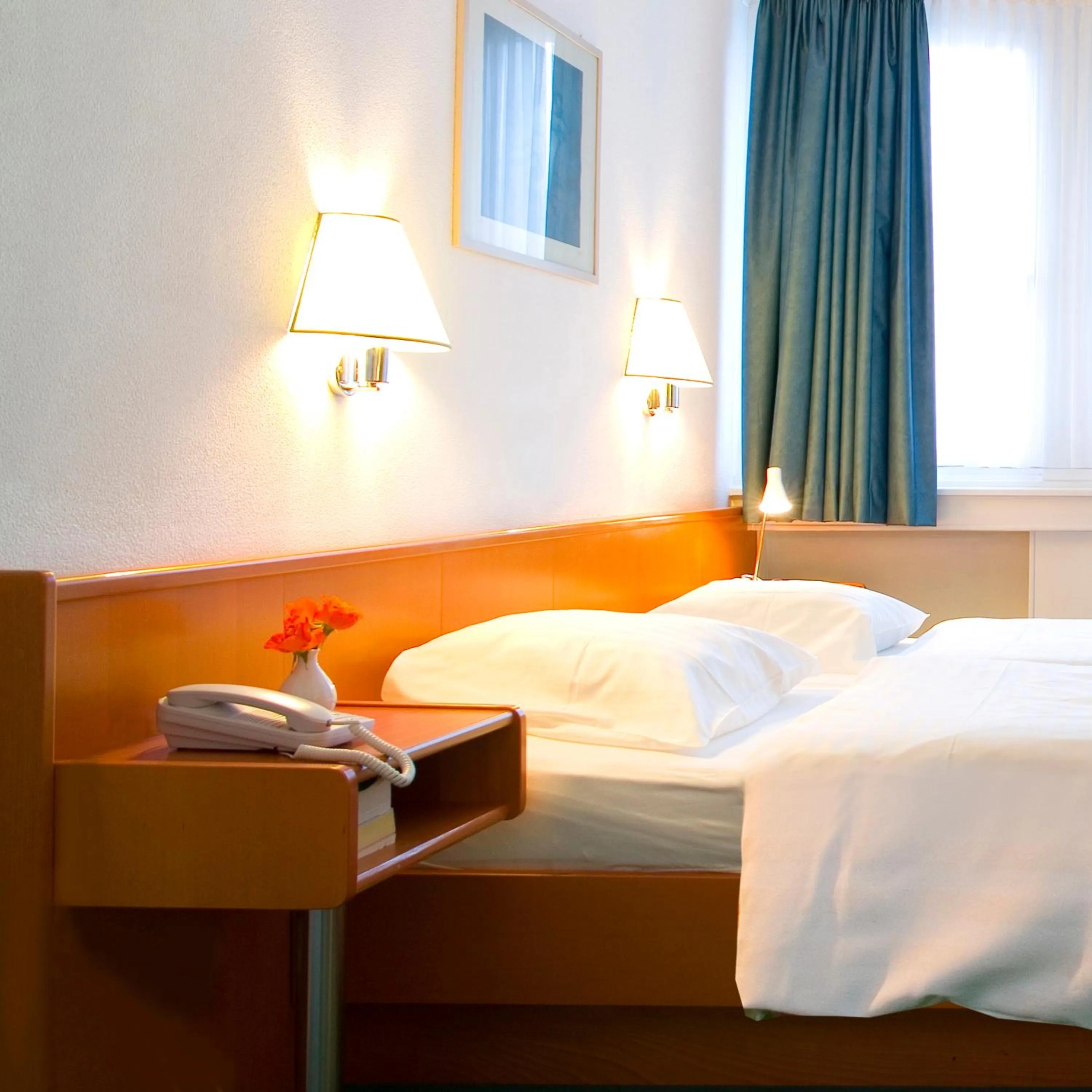 Double Room - single occupancy in Hotel Francais