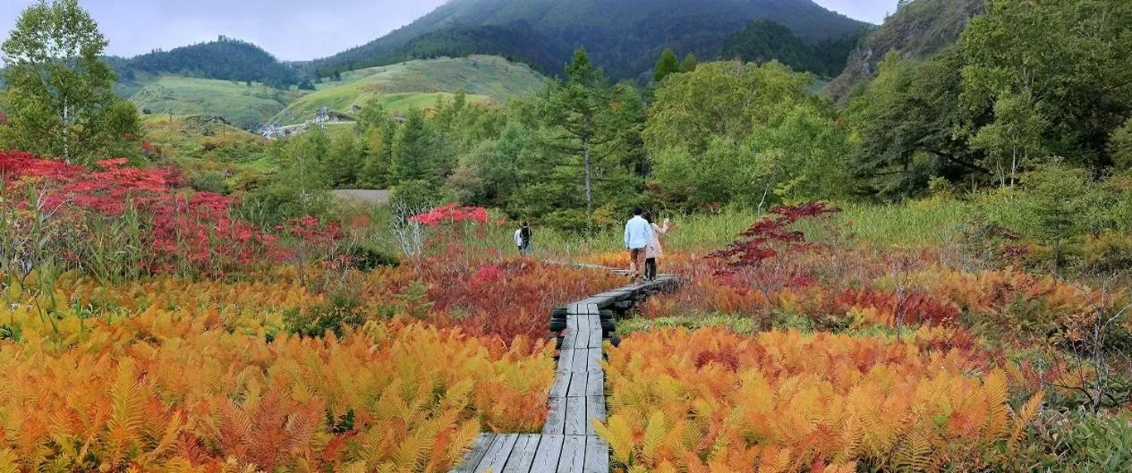 Autumn in Goroji Bekkan