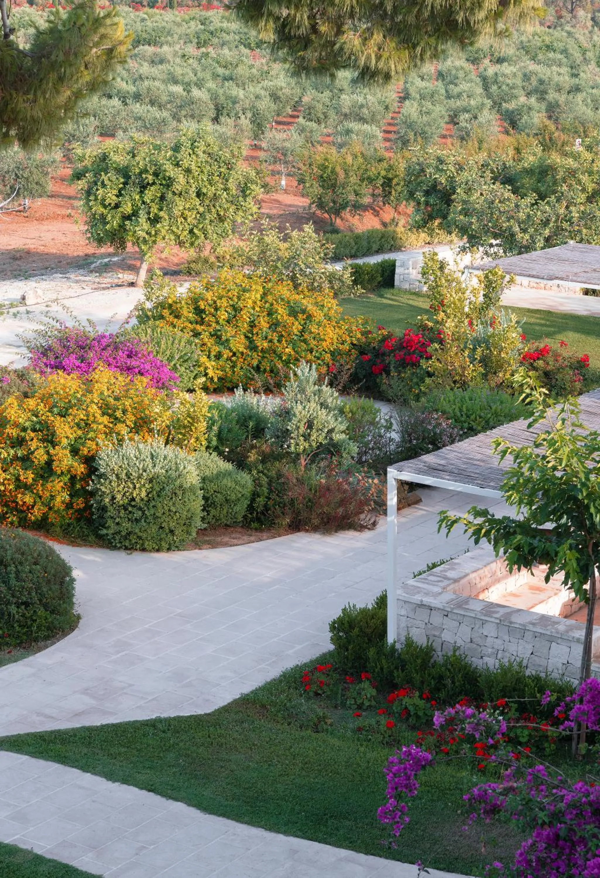 Garden in Masseria Elysium