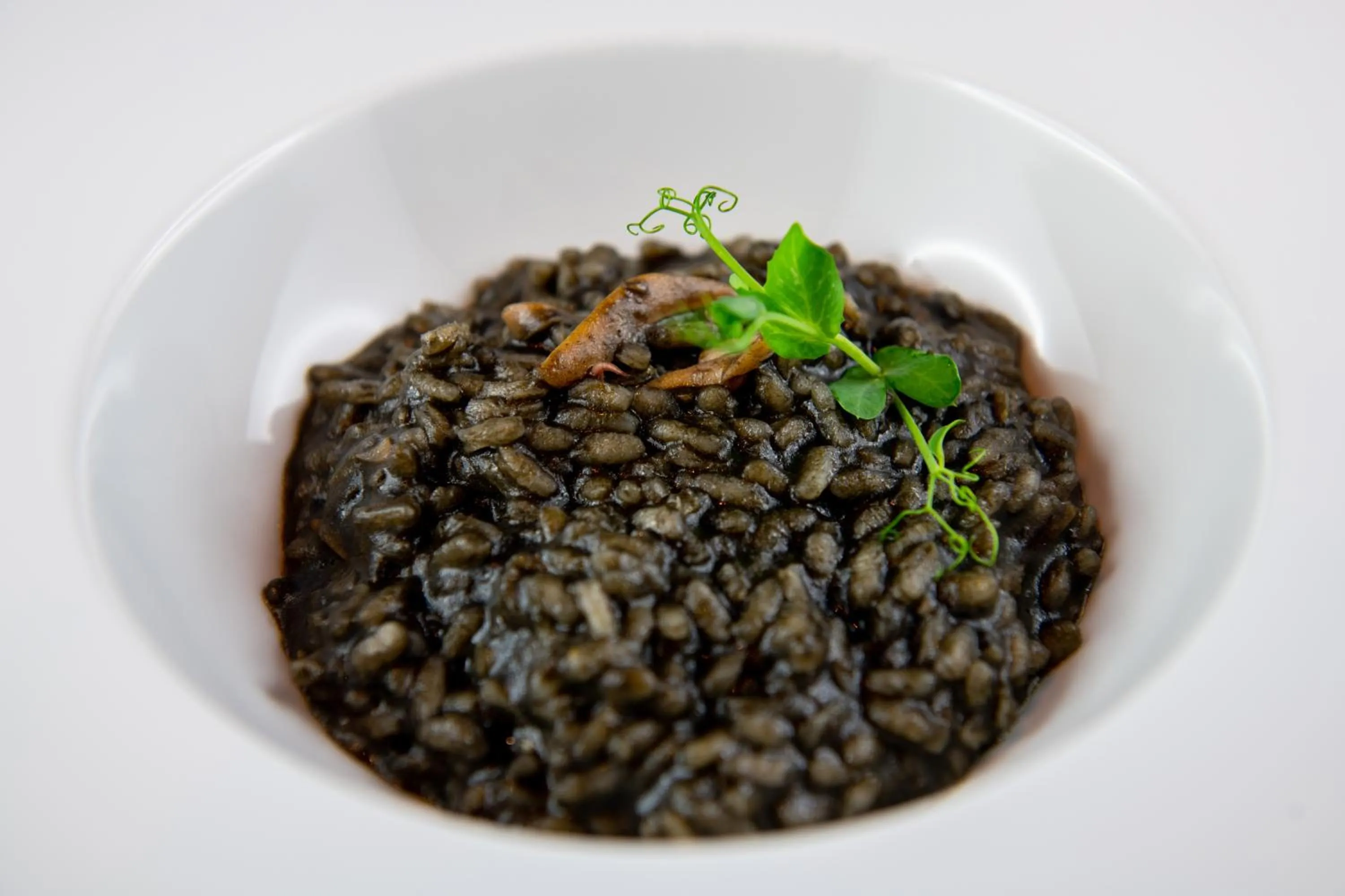 Restaurant/places to eat in Ca' Rebeka Venice - Atika & Atif