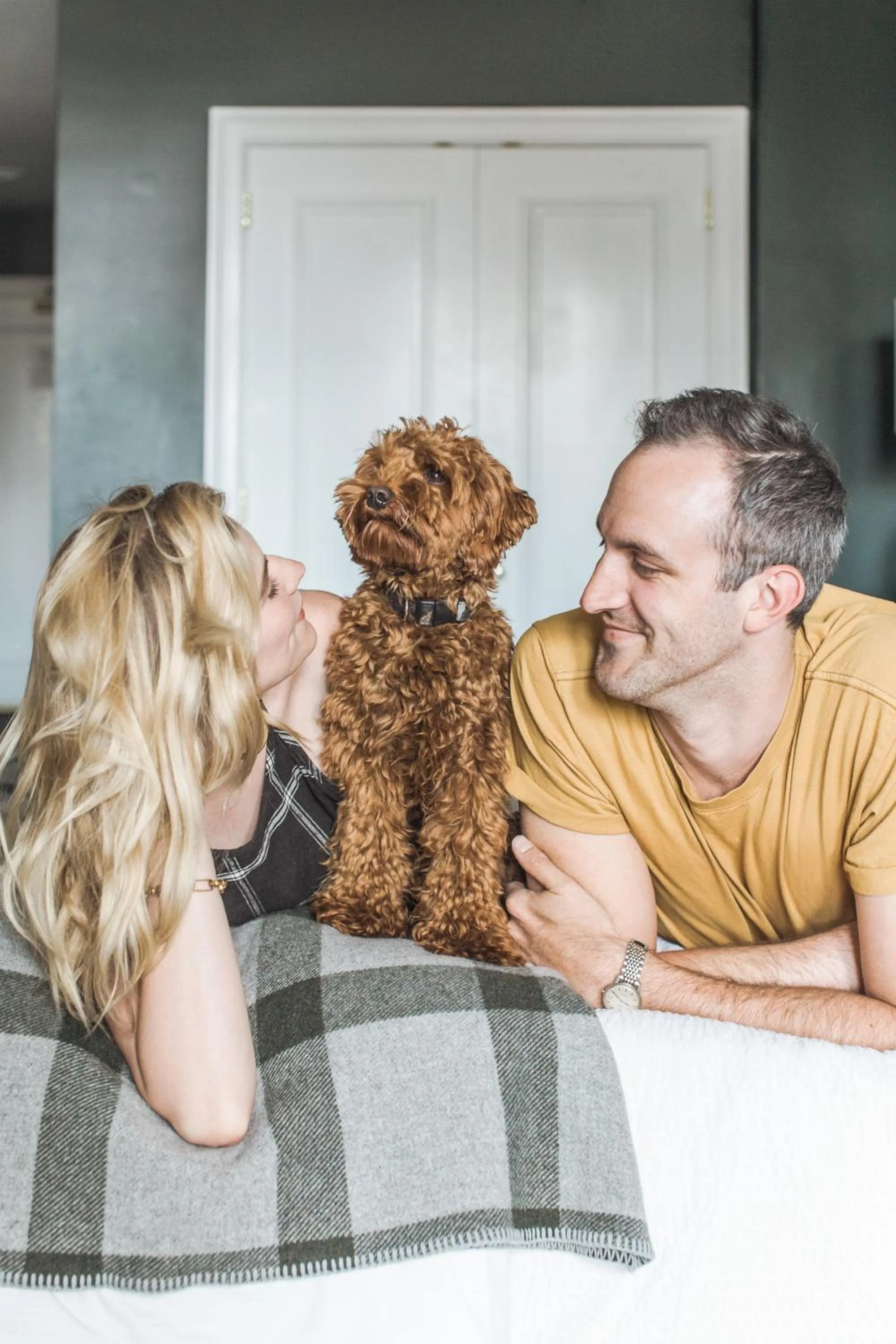 Pets in Sentinel Hotel