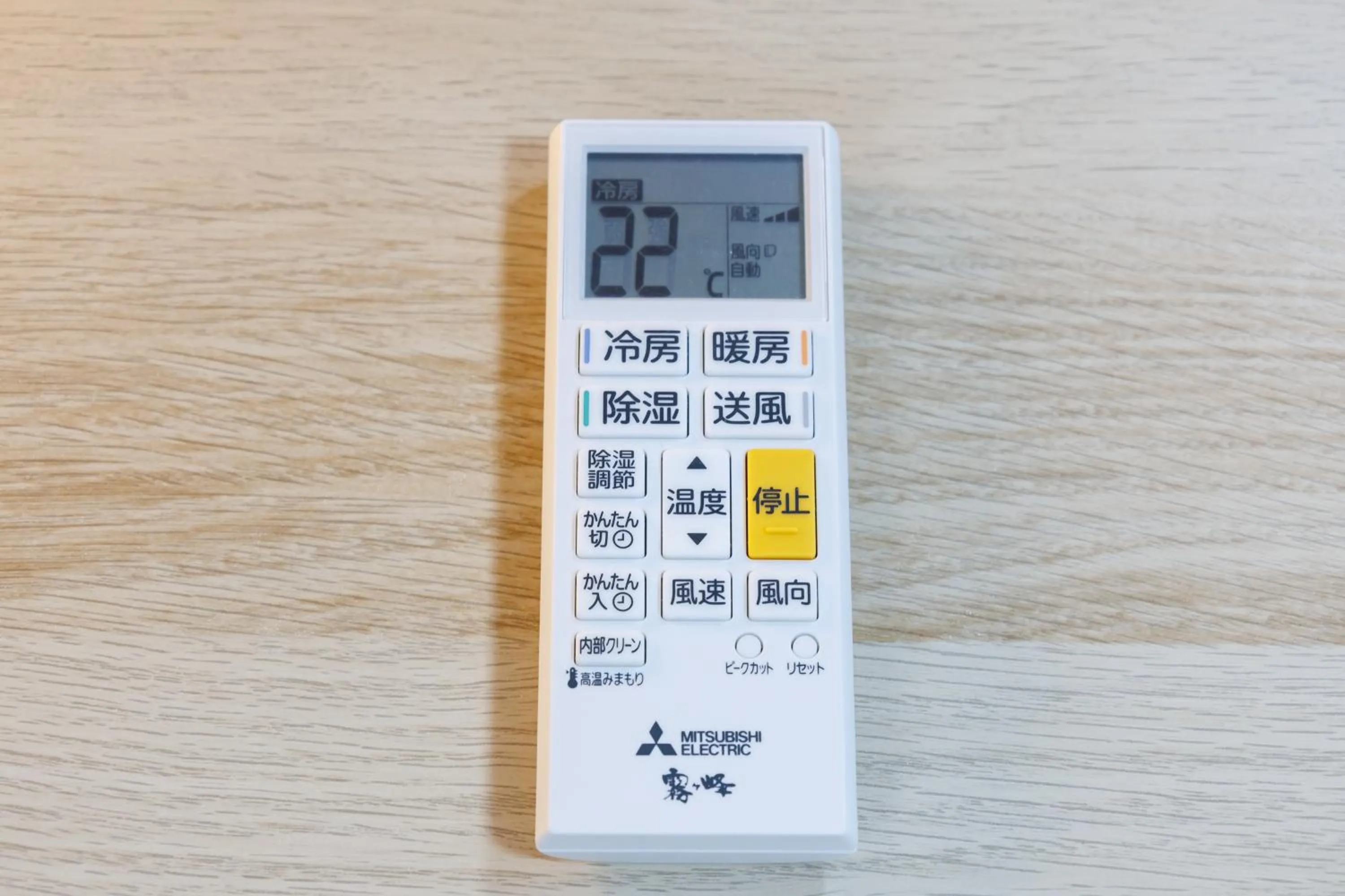 Grande Famille Shimanouchi Dotonbori Condo