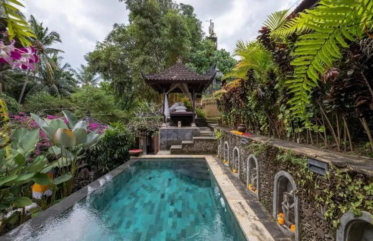 Rumah Kelinci