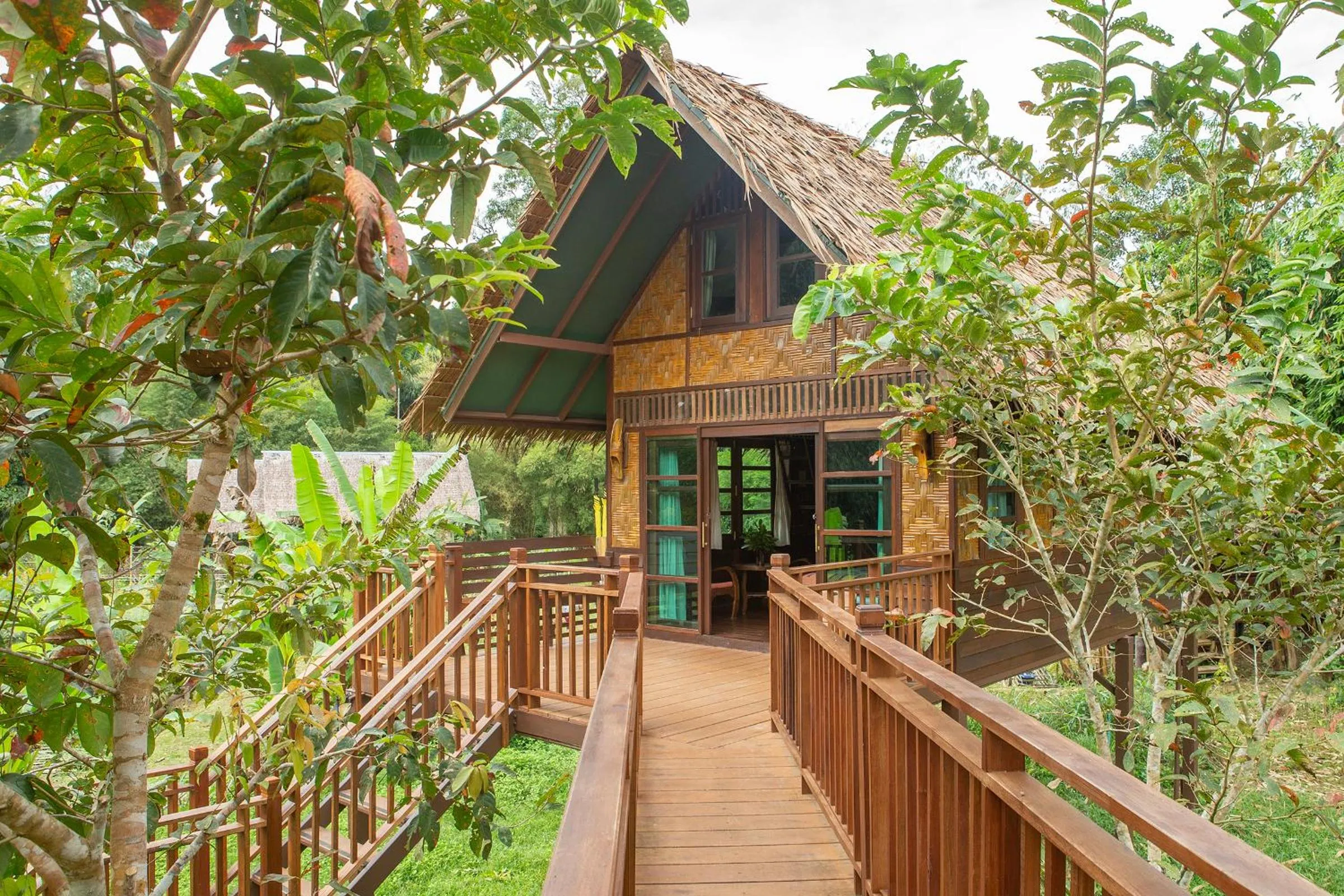 Natural landscape in Our Jungle Camp - Eco Resort