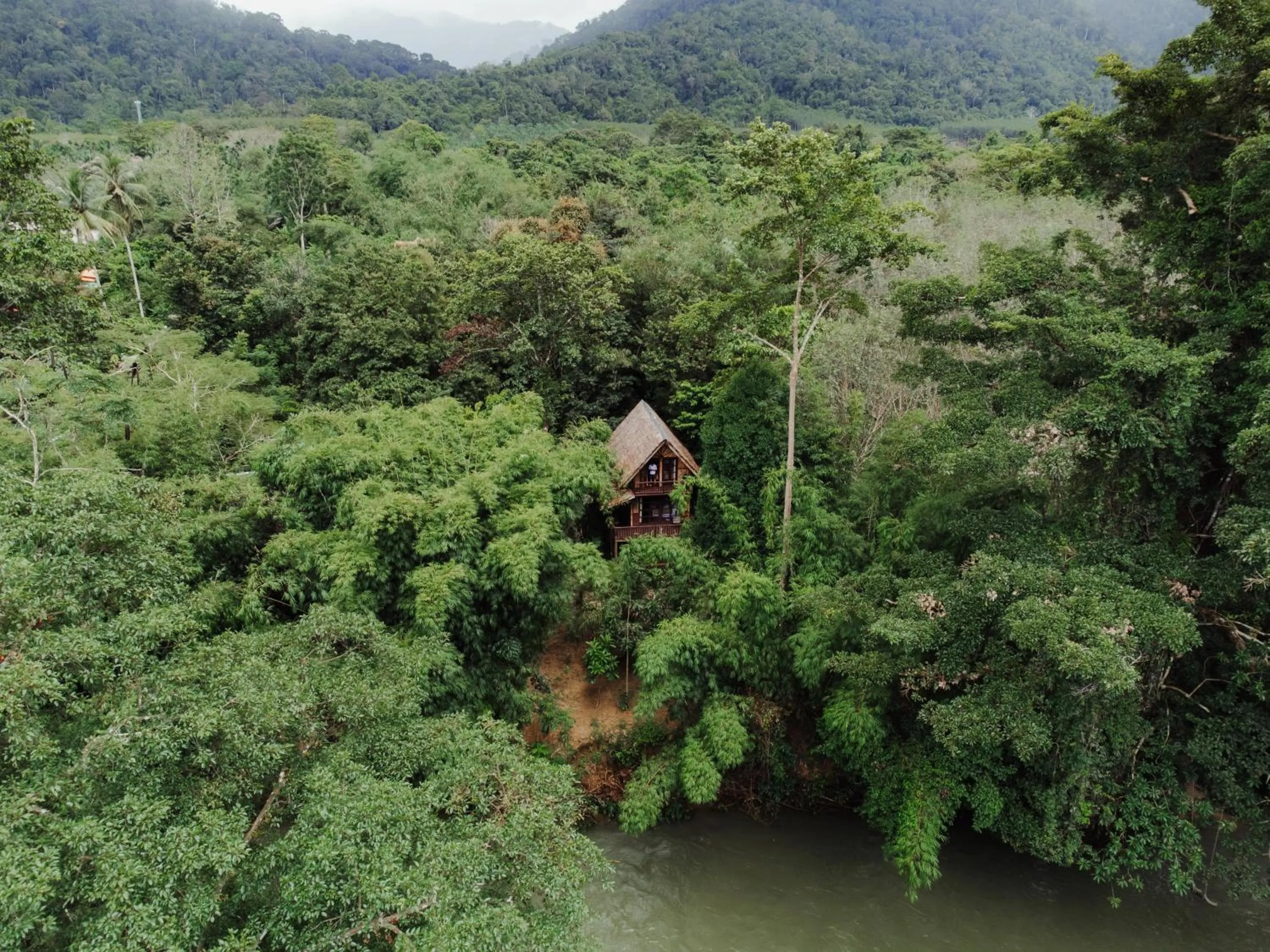 Natural landscape in Our Jungle Camp - Eco Resort