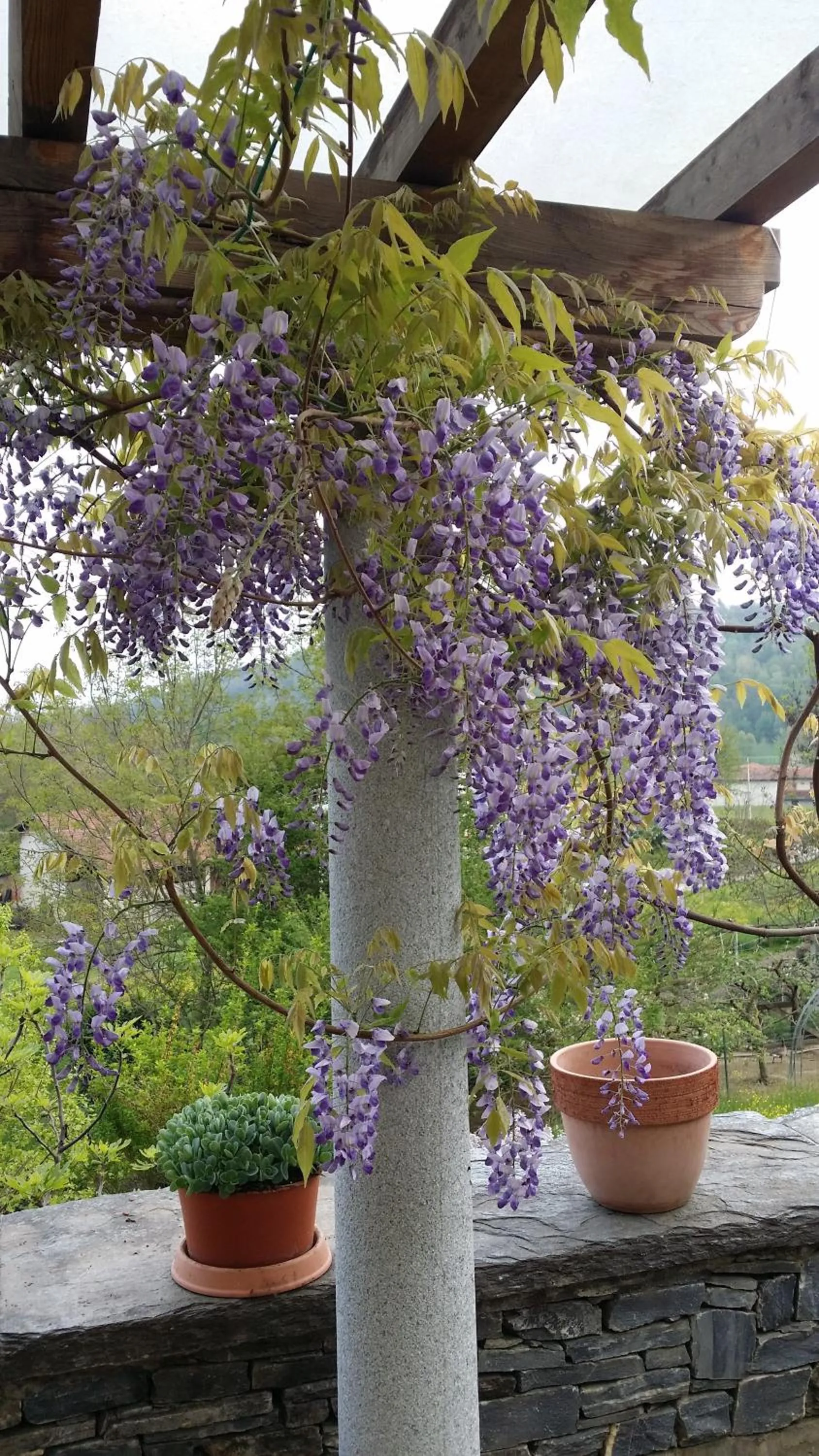 Garden in Casa Margherita