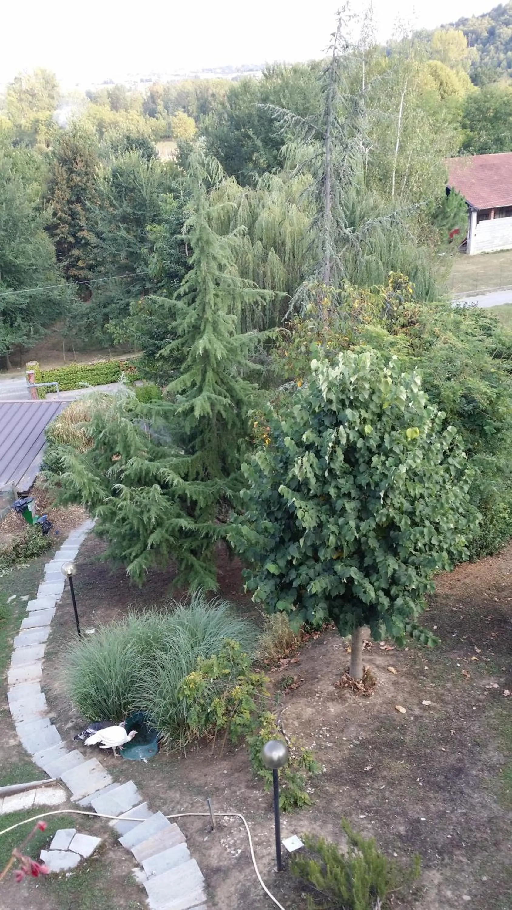 Garden view in Casa Margherita