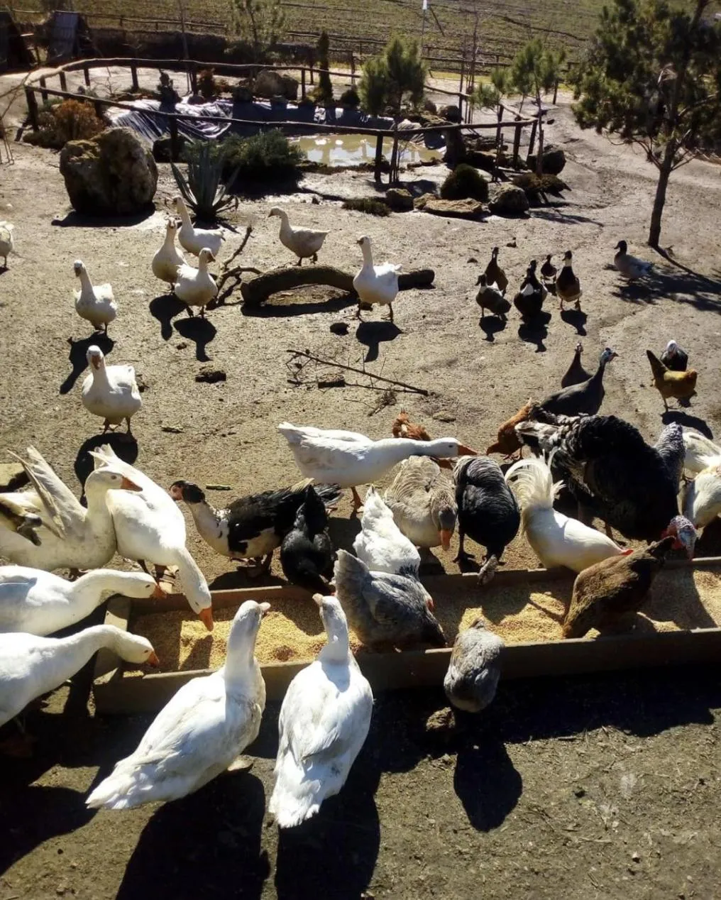 Agriturismo Il Riccio