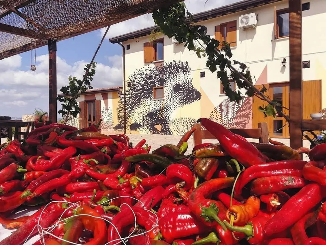 Agriturismo Il Riccio