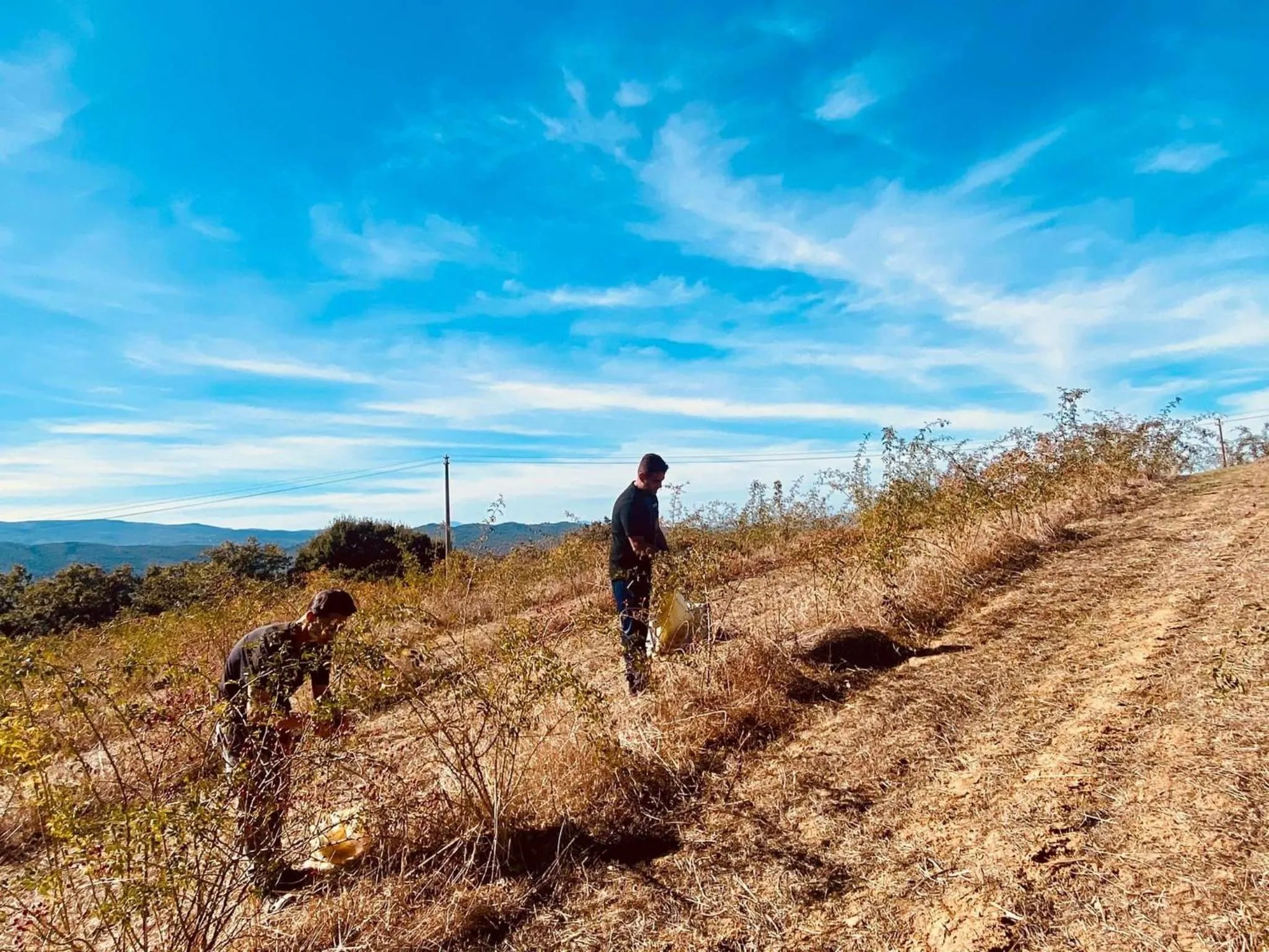 Agriturismo Il Riccio