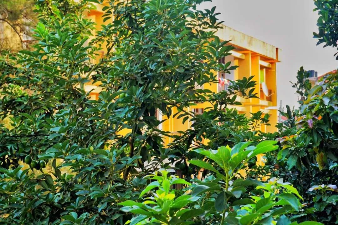 EAC Flat Naguru 3 Bedroom