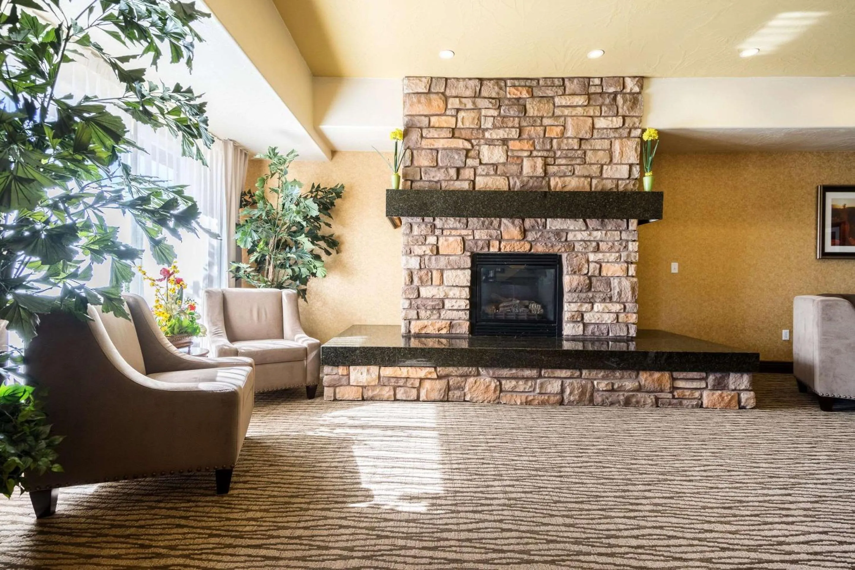 Lobby or reception in Comfort Inn & Suites