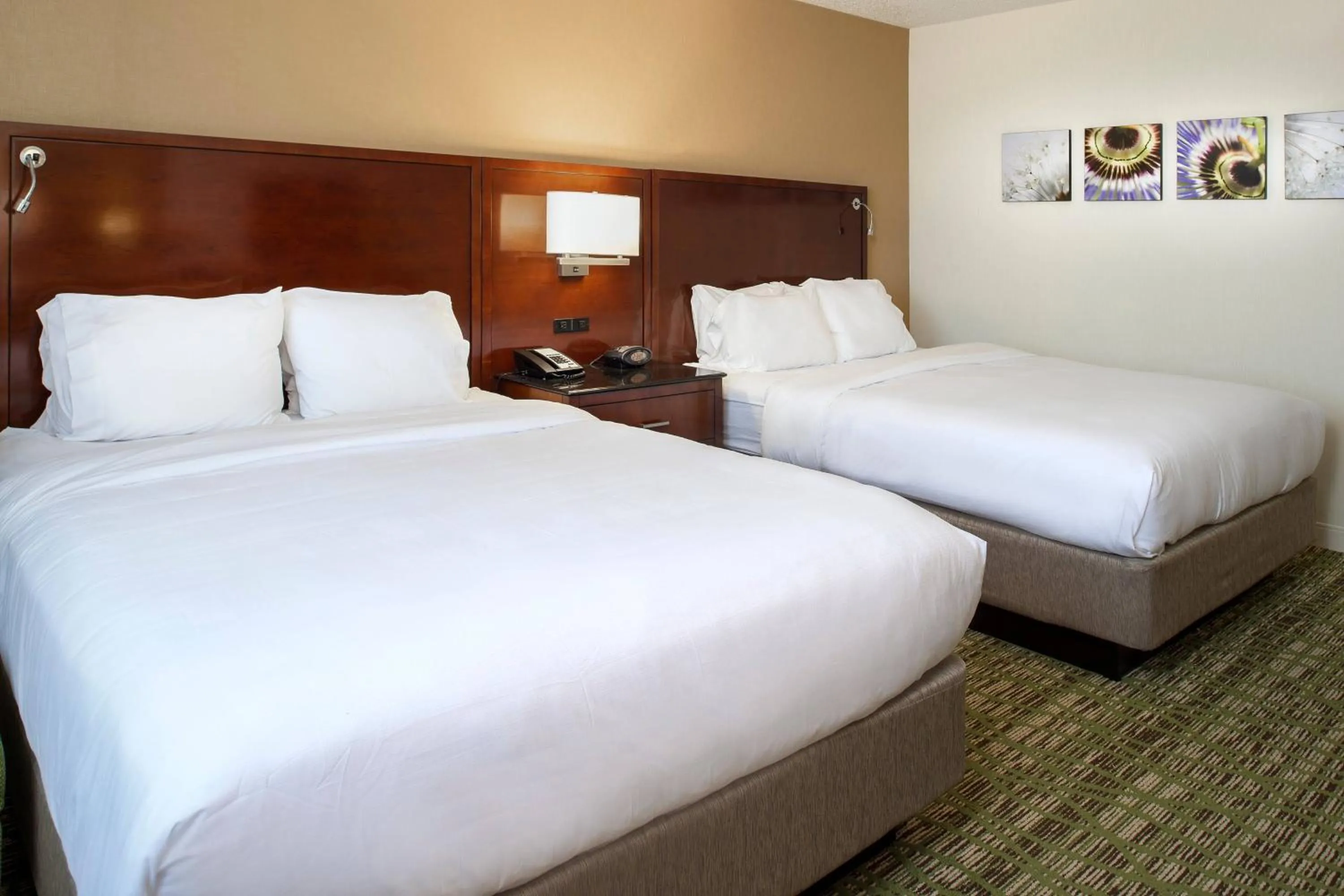 Photo of the whole room, Bed in Marriott St. Louis West