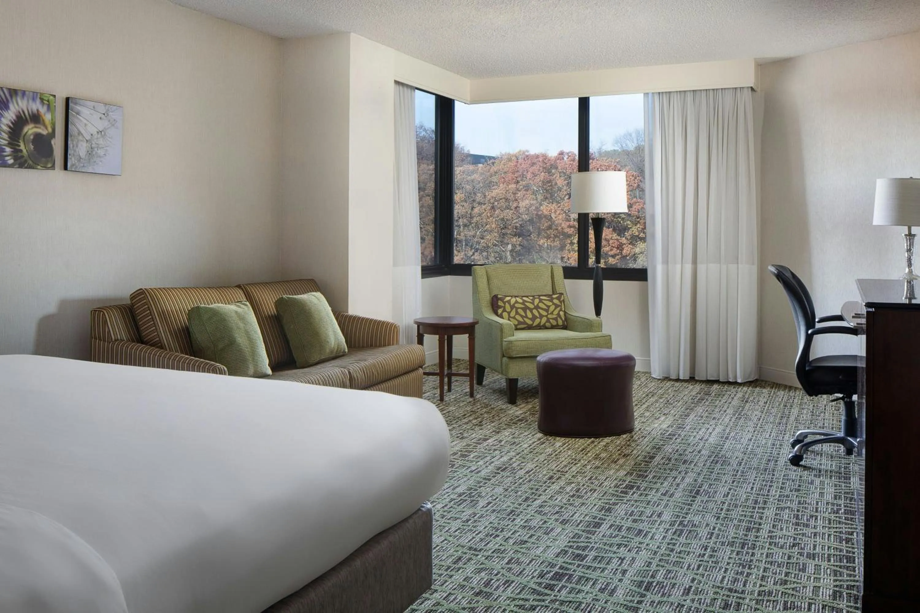 Photo of the whole room, Bed in Marriott St. Louis West