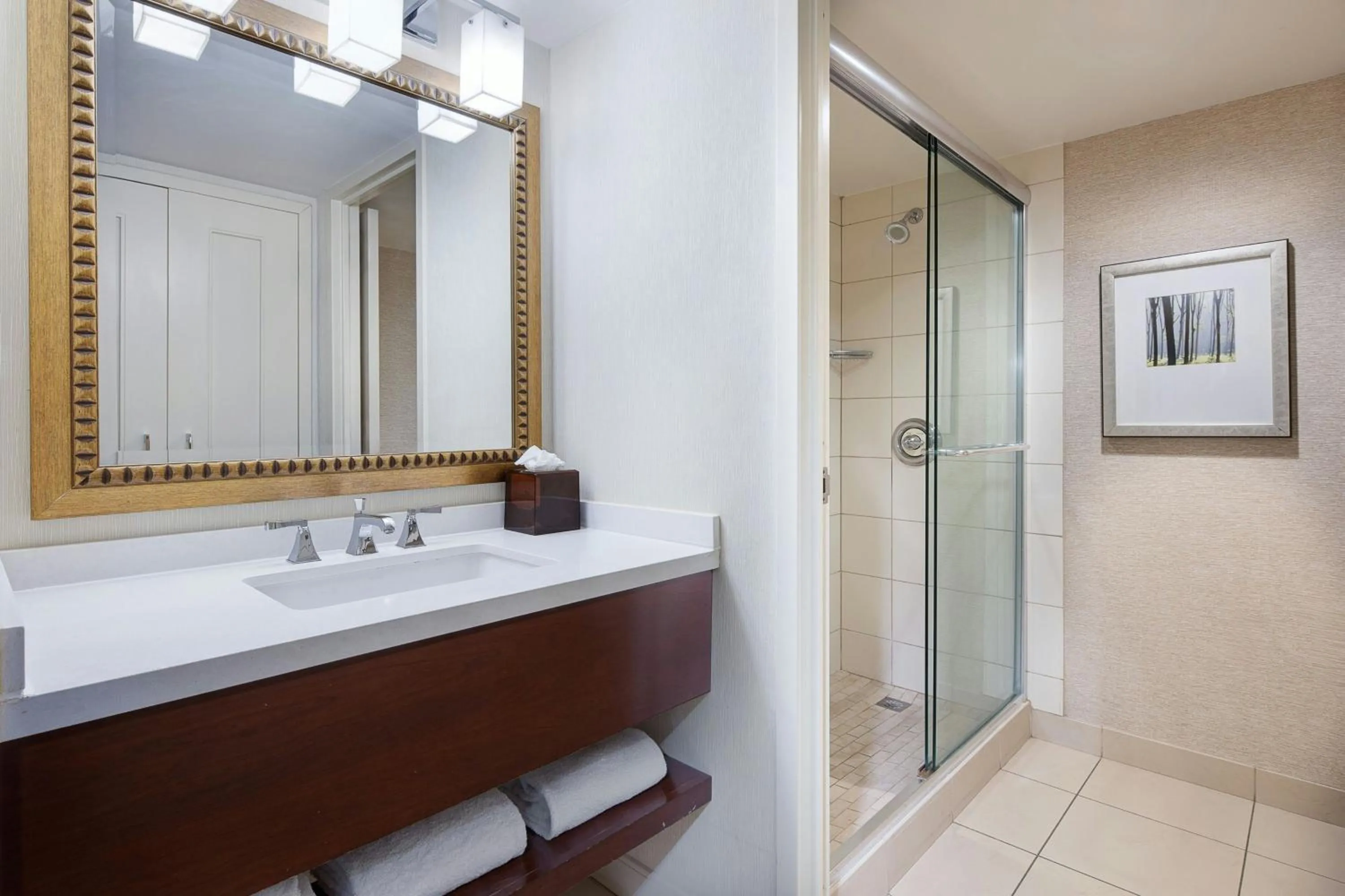 Bathroom in Marriott St. Louis West