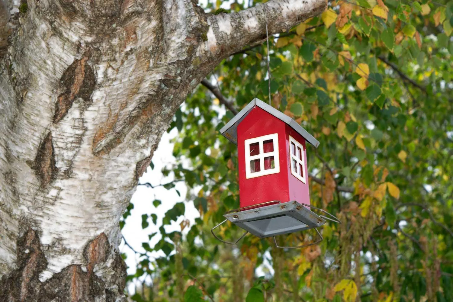 Off site in Spirans Rum och Logi