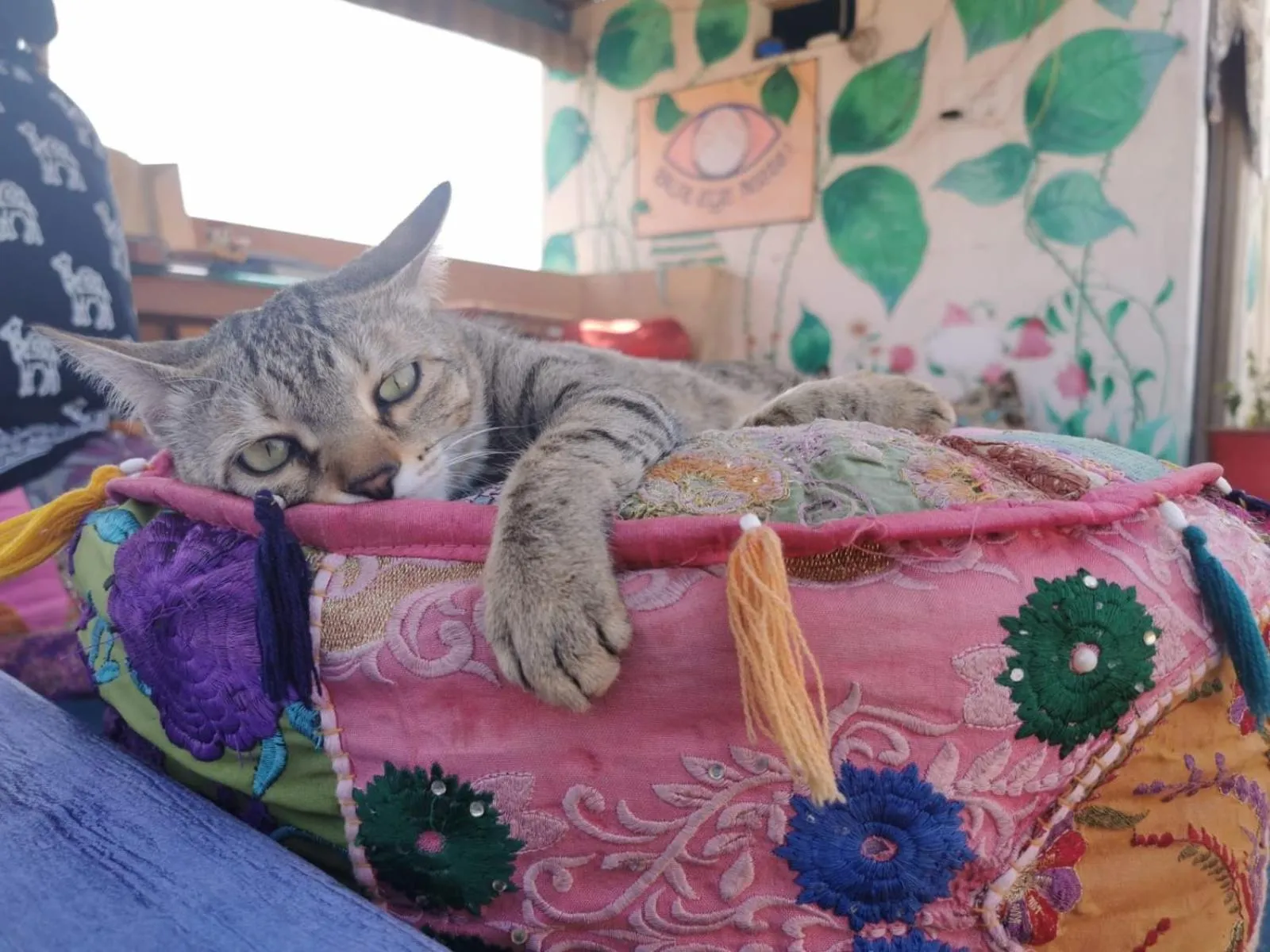 Balcony/Terrace in Blue Eye Hostel