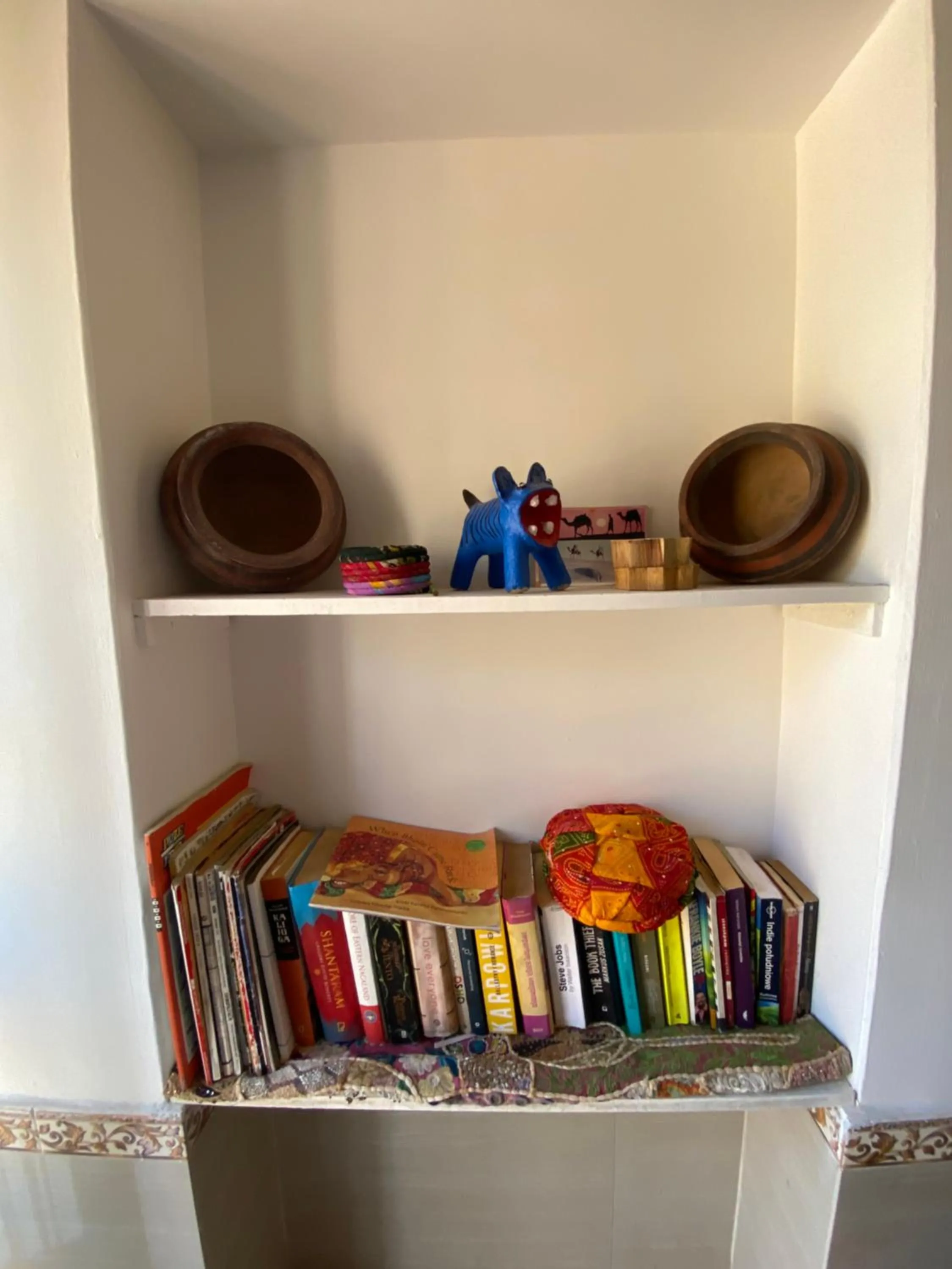 Library in Blue Eye Hostel