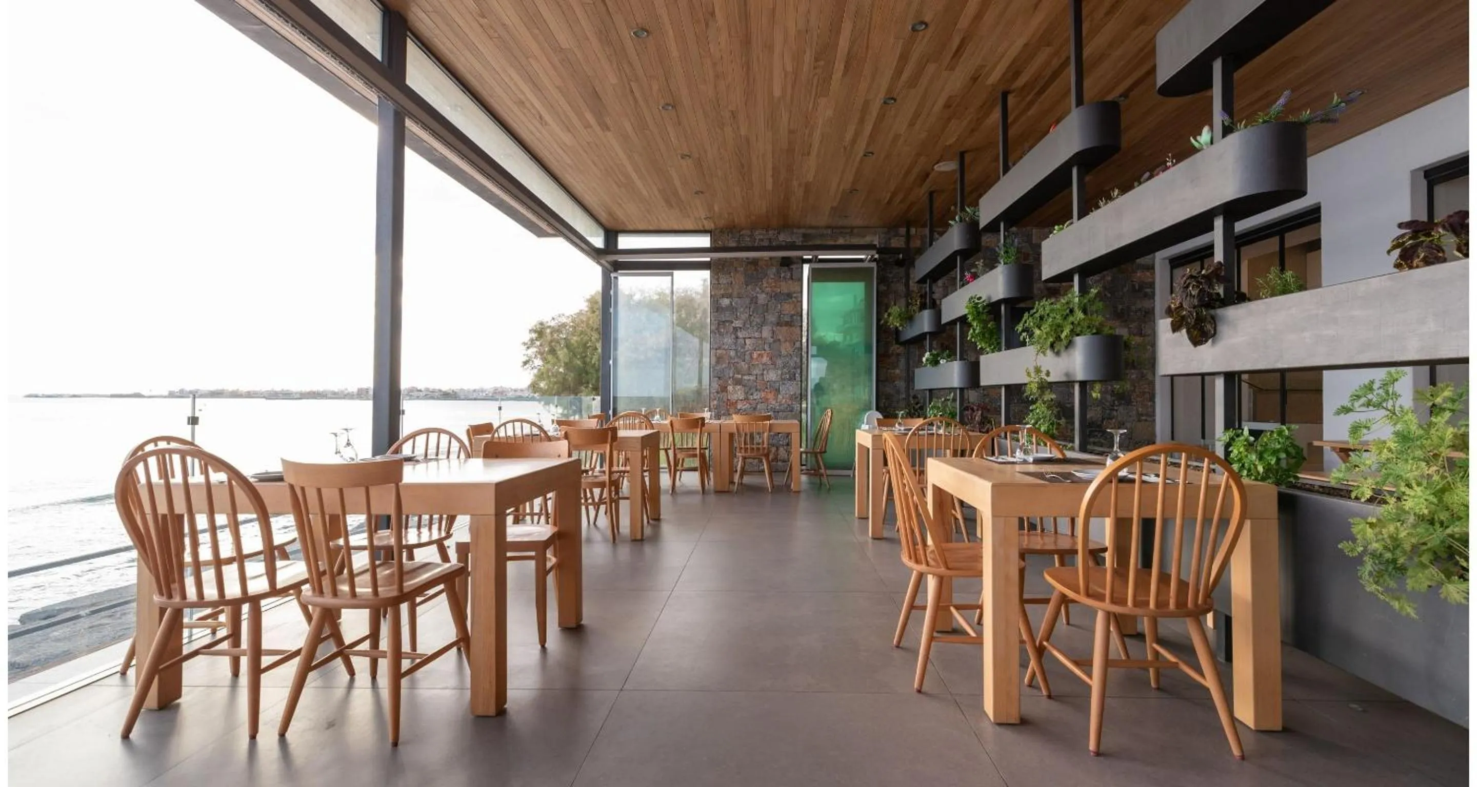 Restaurant/places to eat in Petra Mare