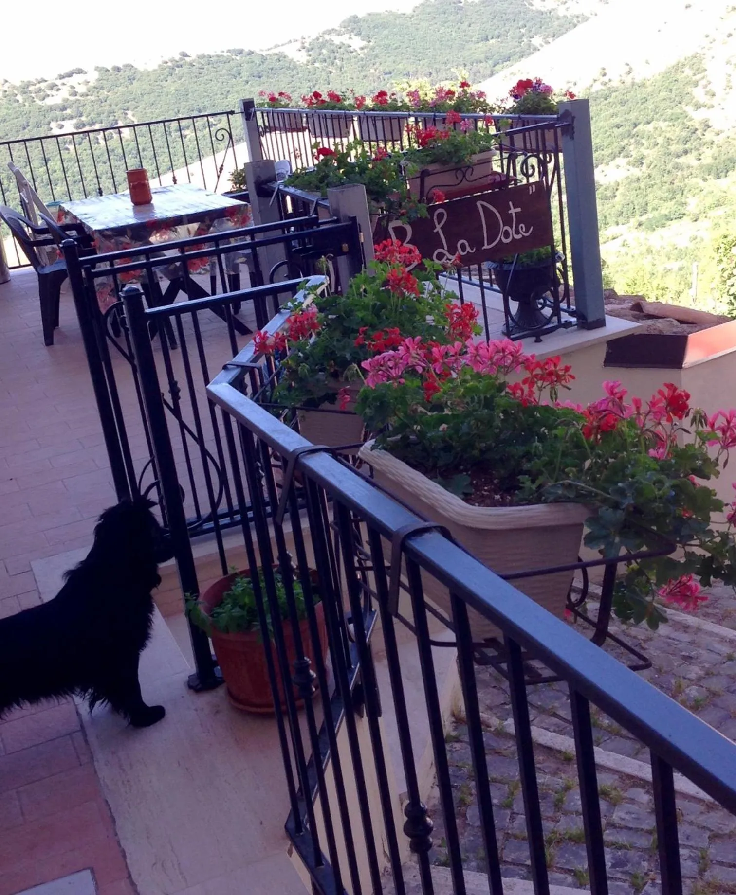 Property building in La Dote