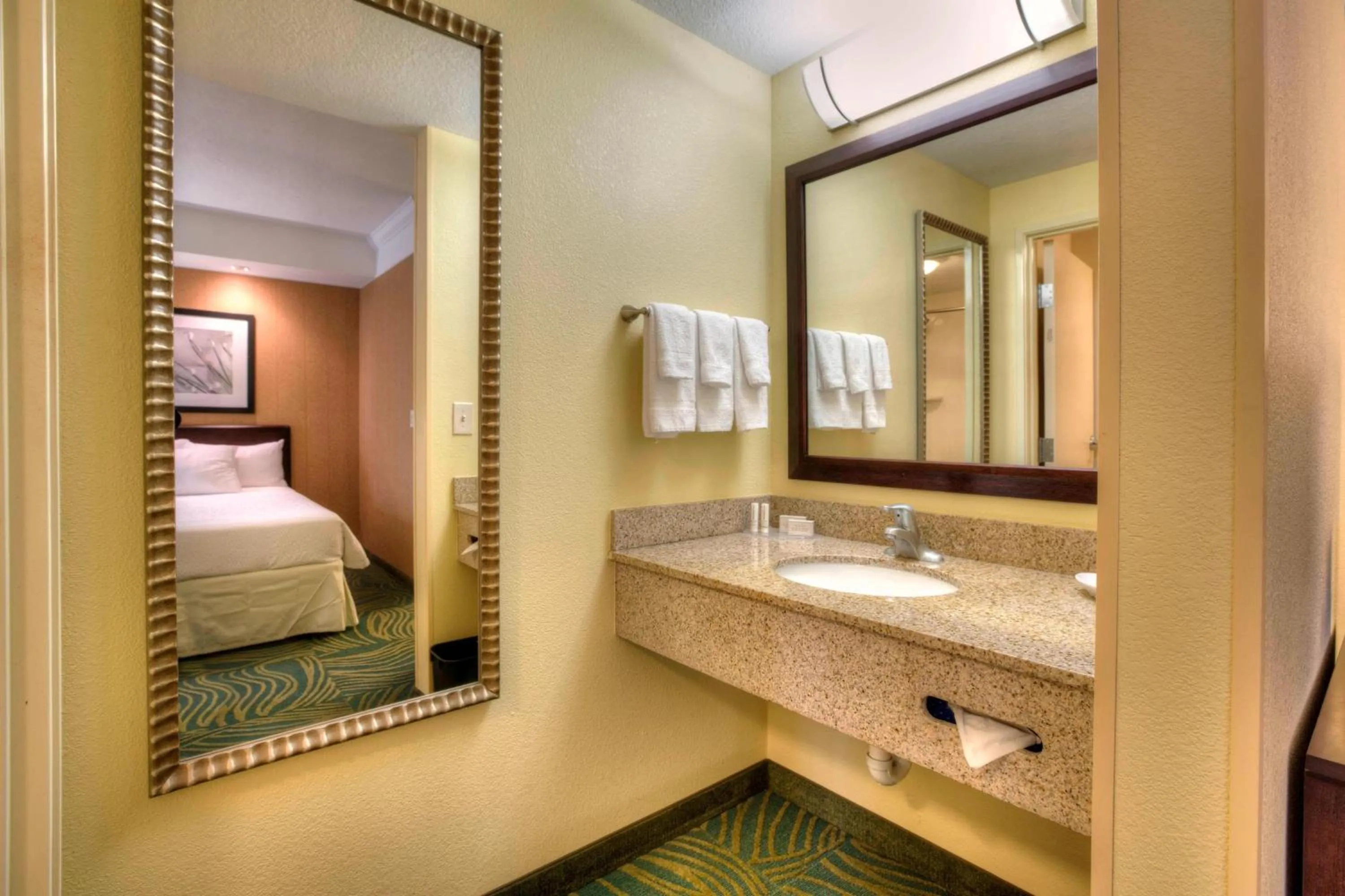 Bathroom, Bed in SpringHill Suites by Marriott - Tampa Brandon