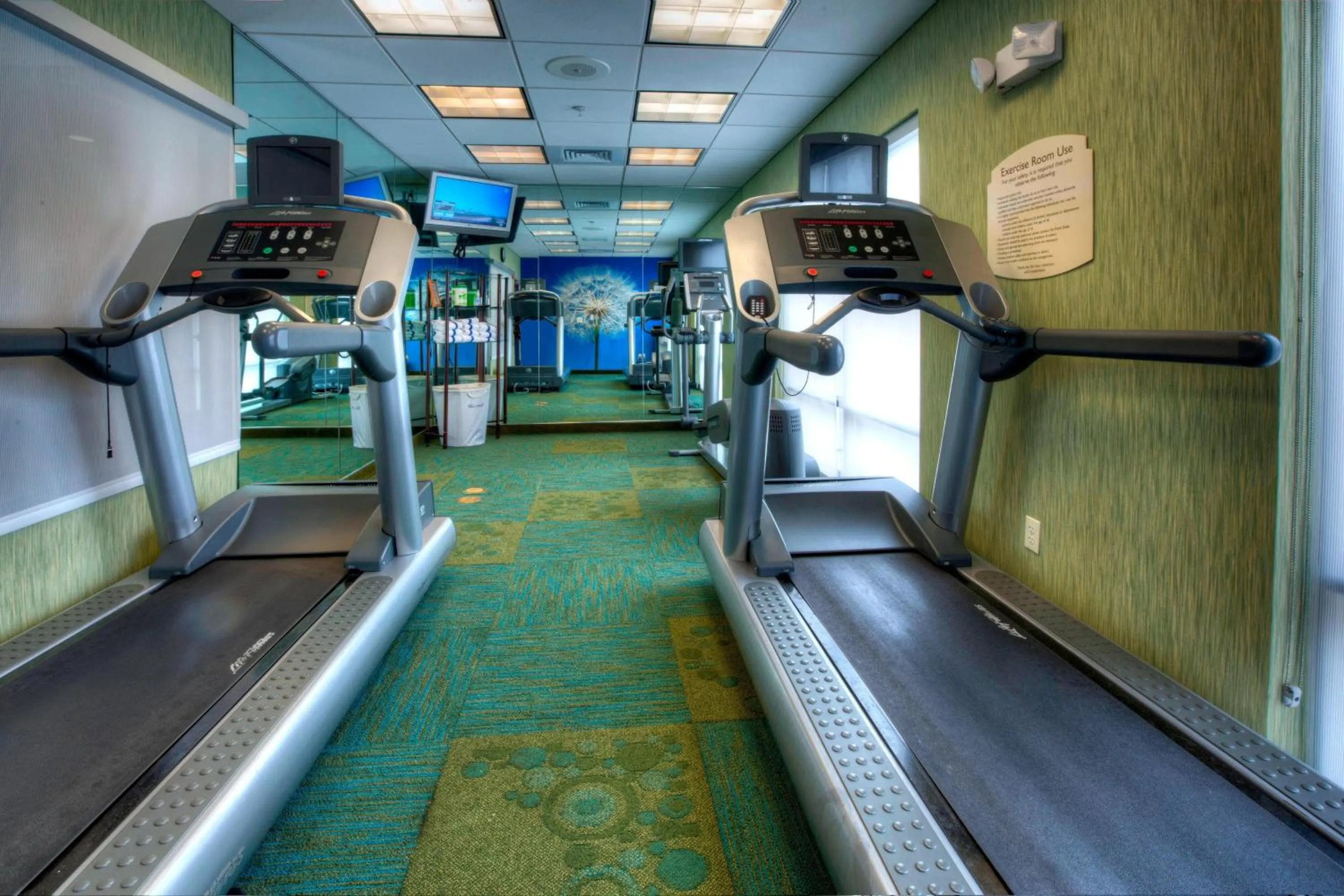 Fitness centre/facilities in SpringHill Suites by Marriott - Tampa Brandon