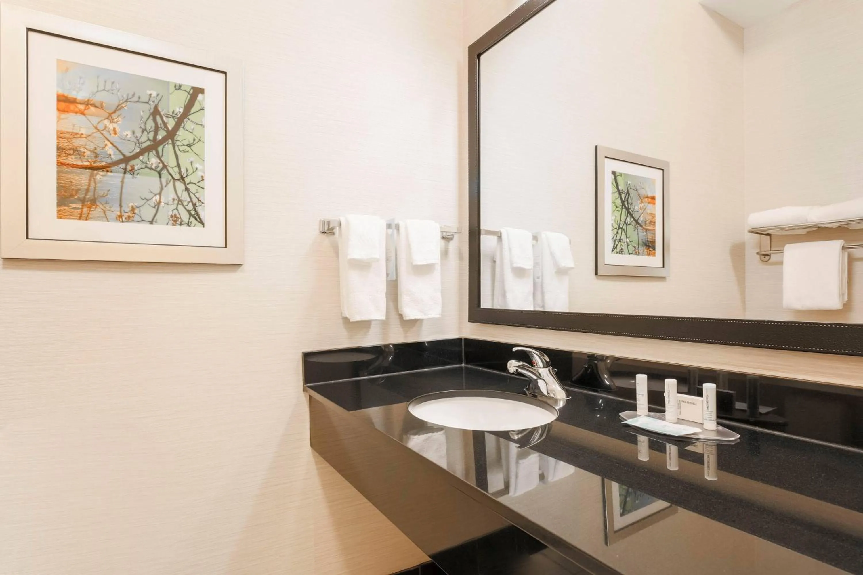 Bathroom in Fairfield Inn & Suites Tampa Fairgrounds/Casino