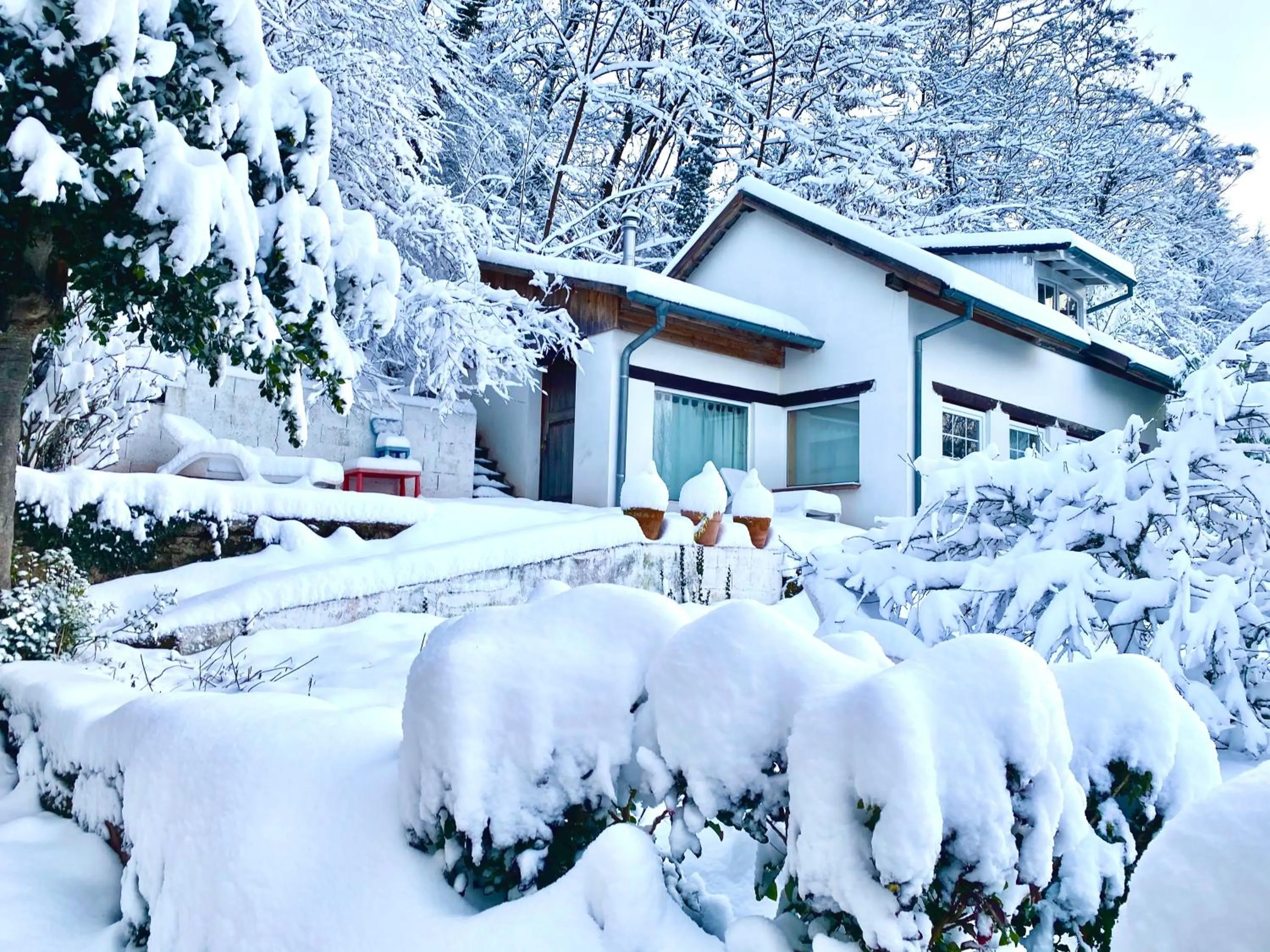 La Dependance de la Villa des Oiseaux - La Petite Pierre