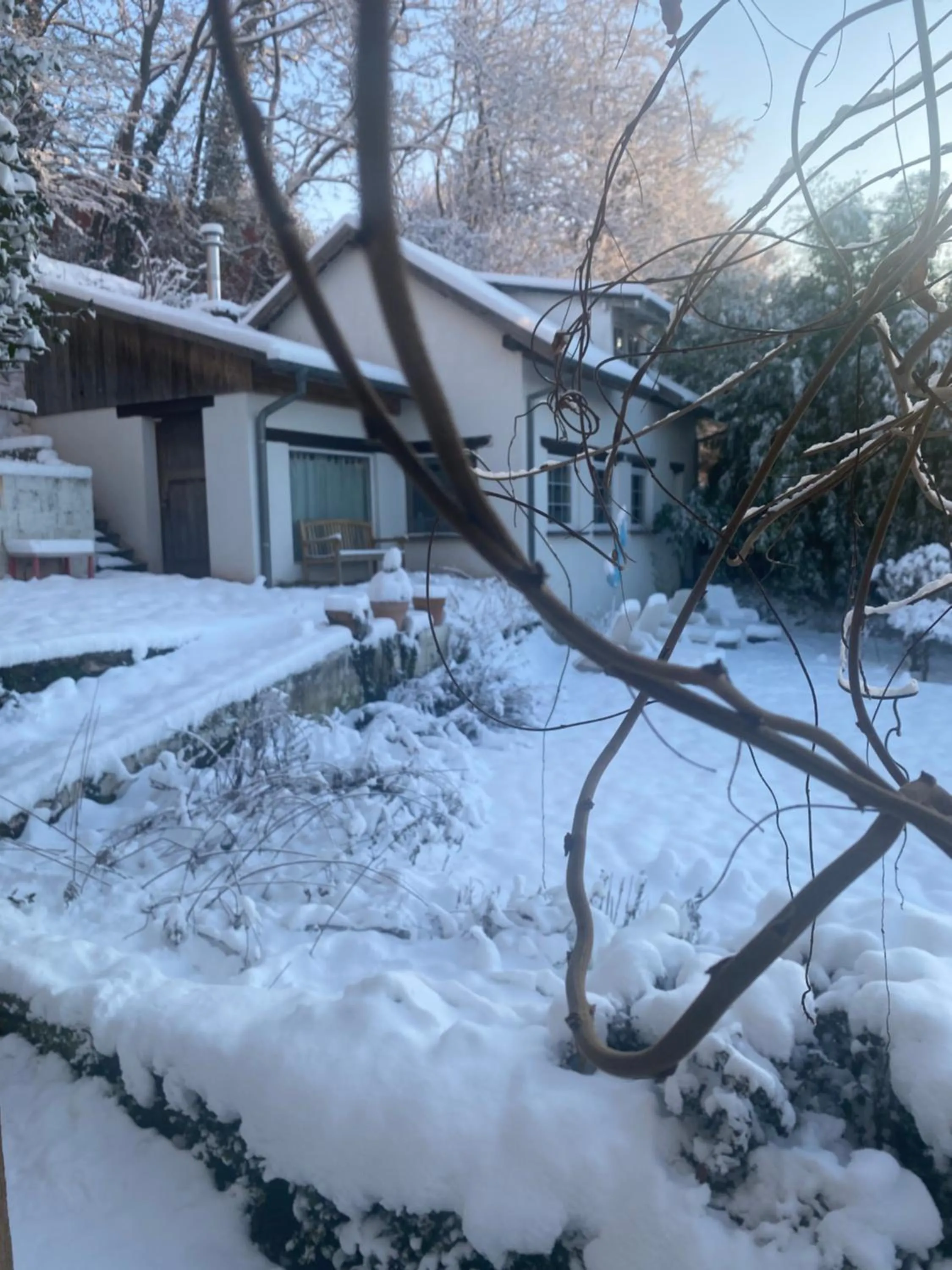 La Dependance de la Villa des Oiseaux - La Petite Pierre